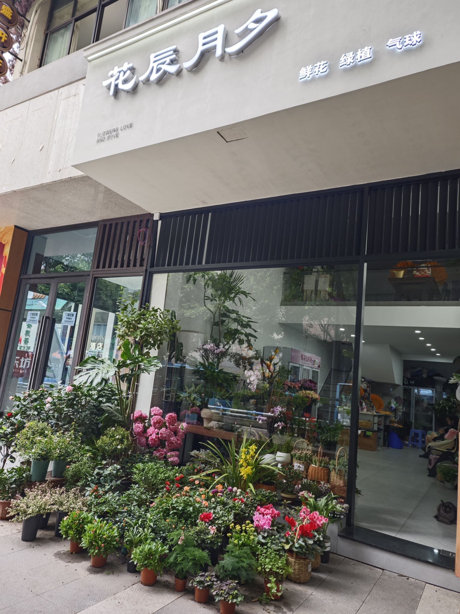 花辰月夕(品质鲜花茶园店)