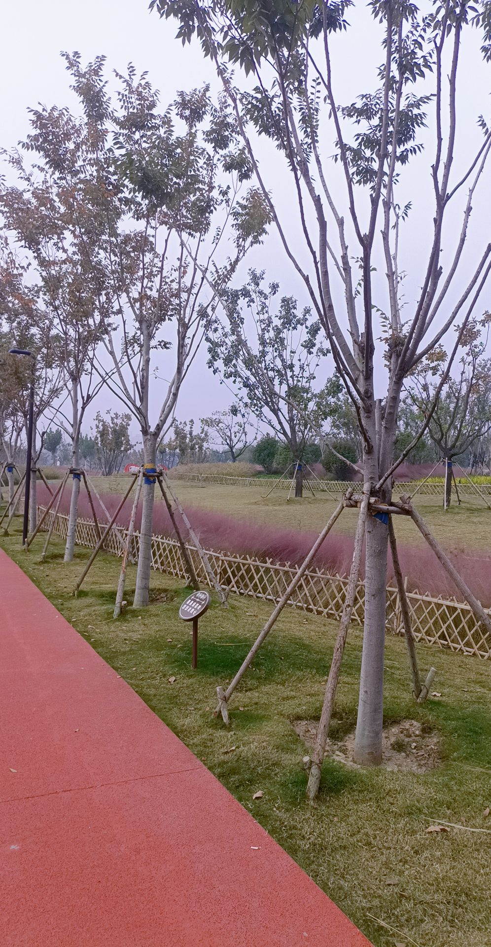 滕州铁西公园旅行图片 3