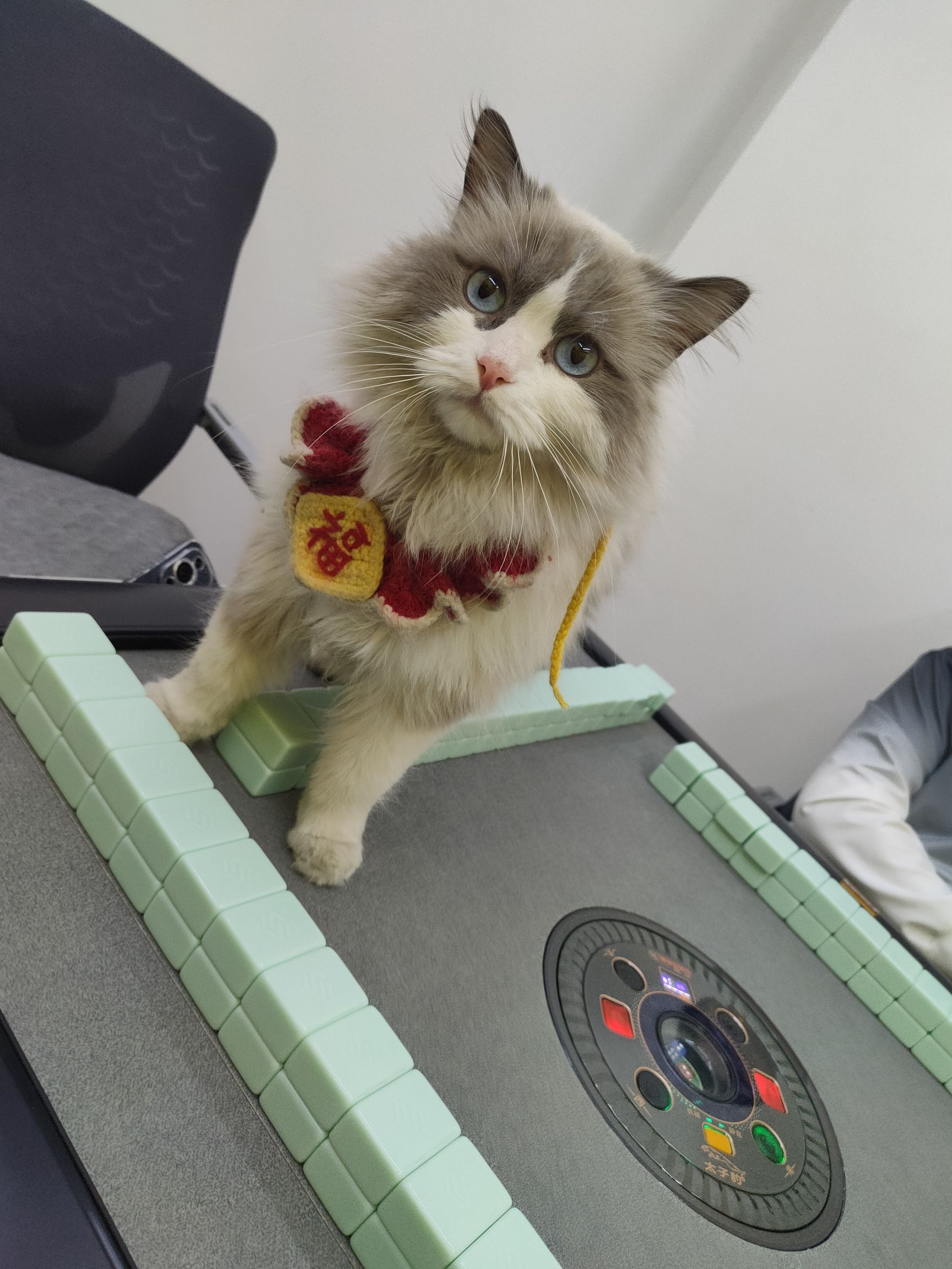 神经猫PS5·私影·互动游戏体验馆