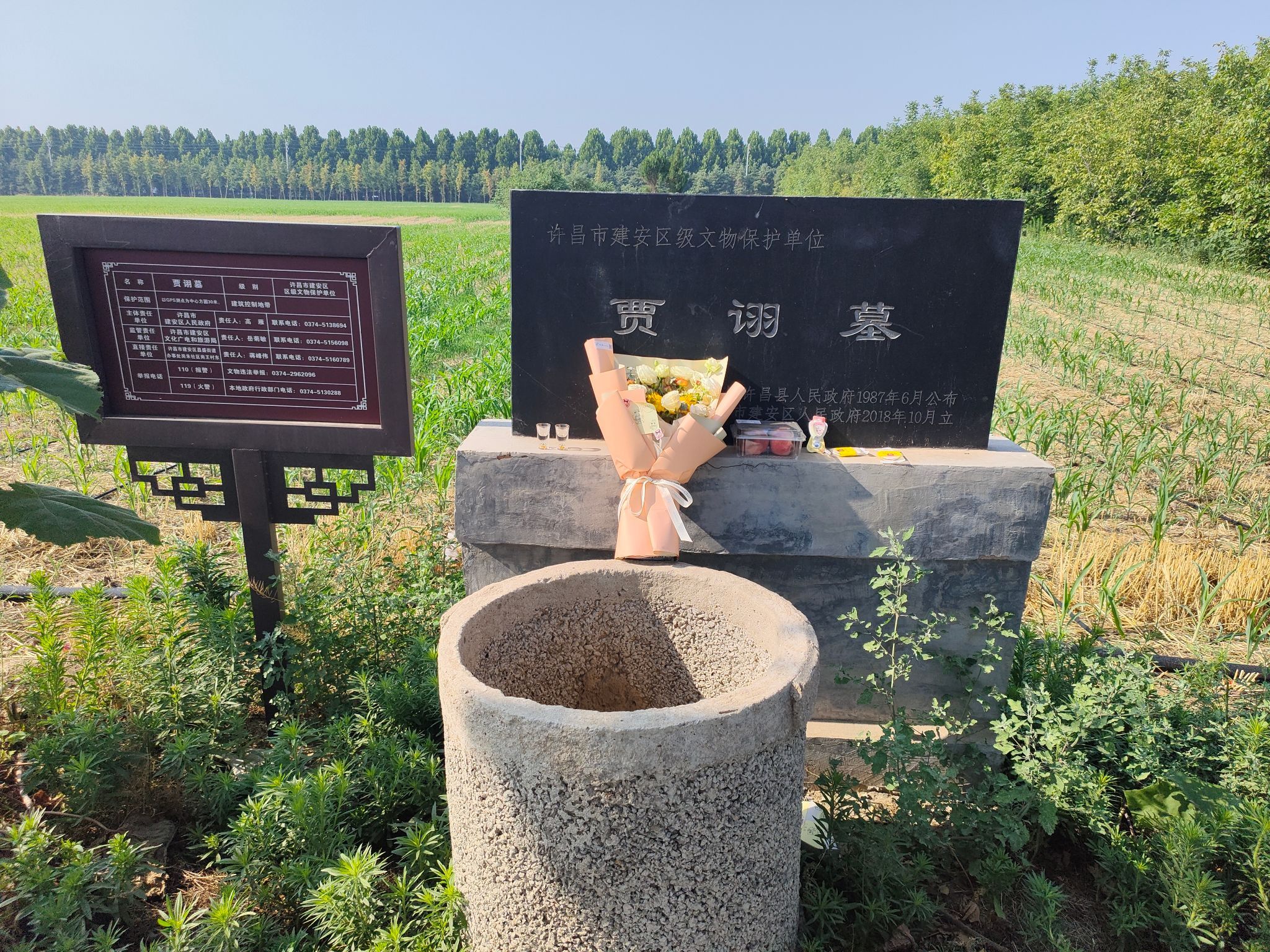 贾诩墓旅行图片 1