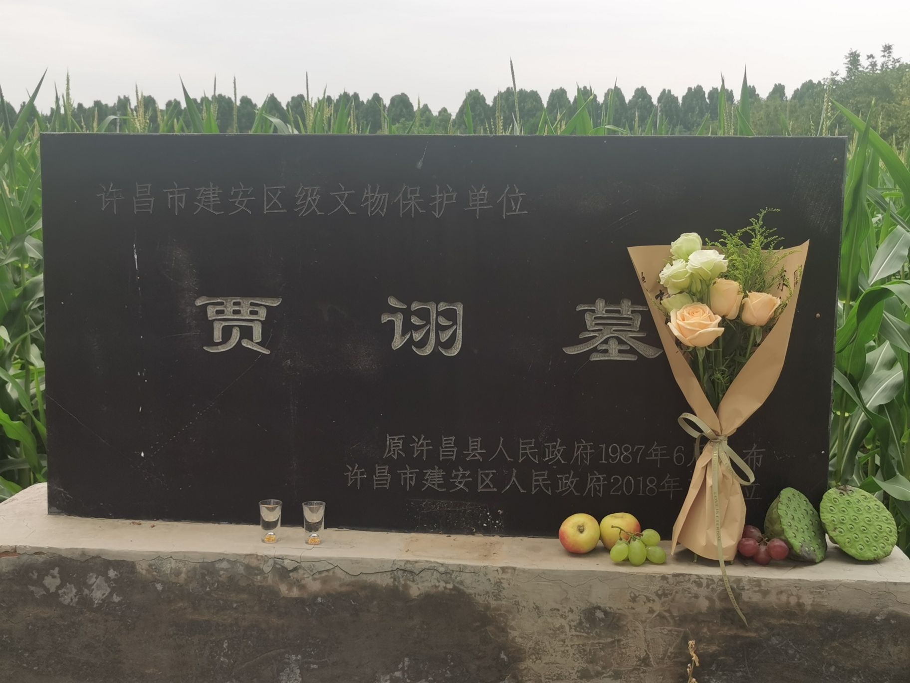 贾诩墓旅行图片 1