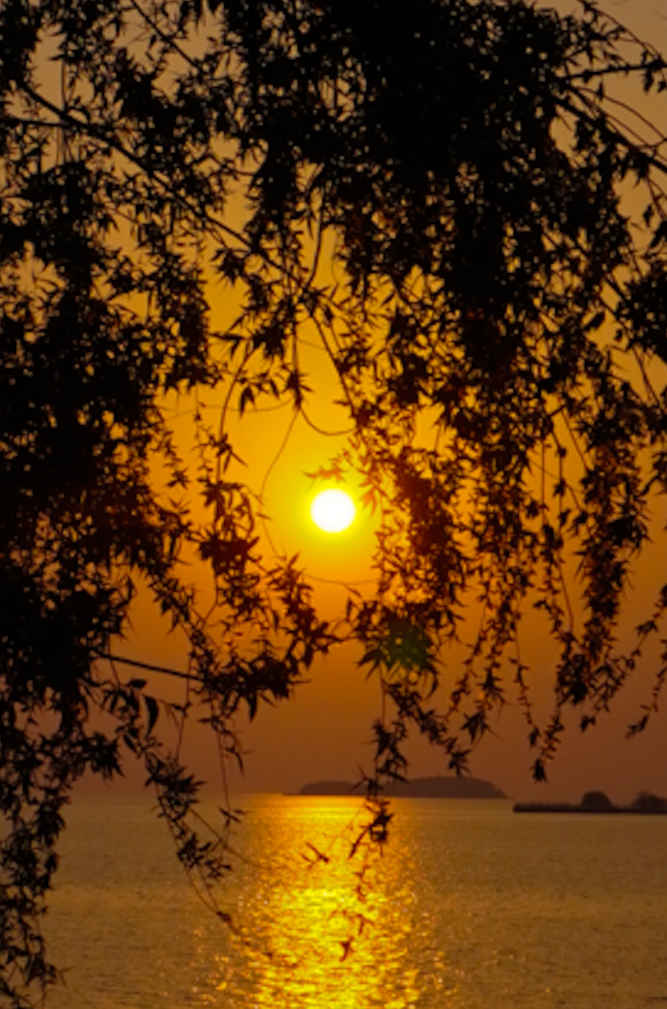 堂里湖畔夕阳营地观景点旅行图片 1