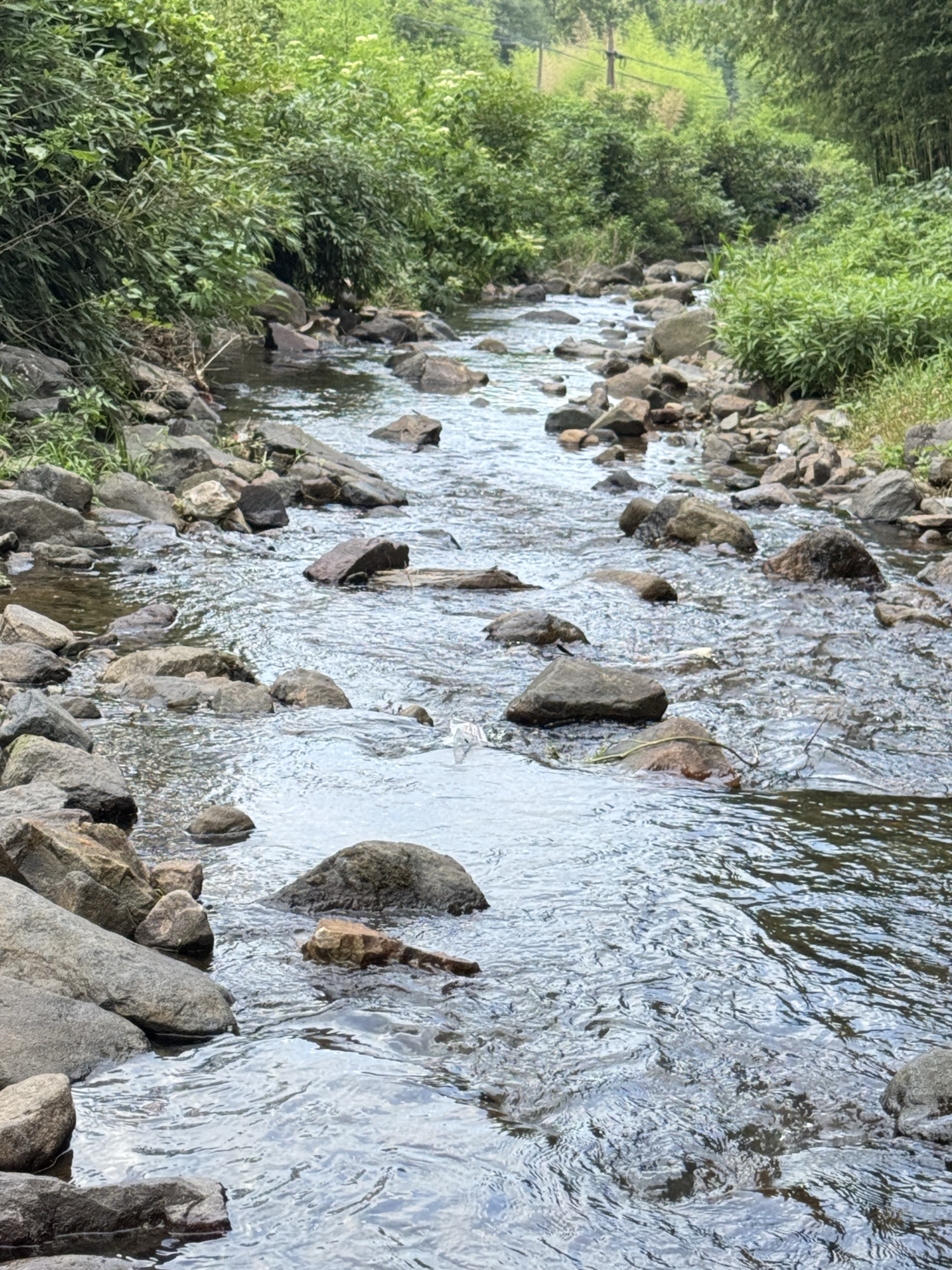 莫干山趣野·溪露营地