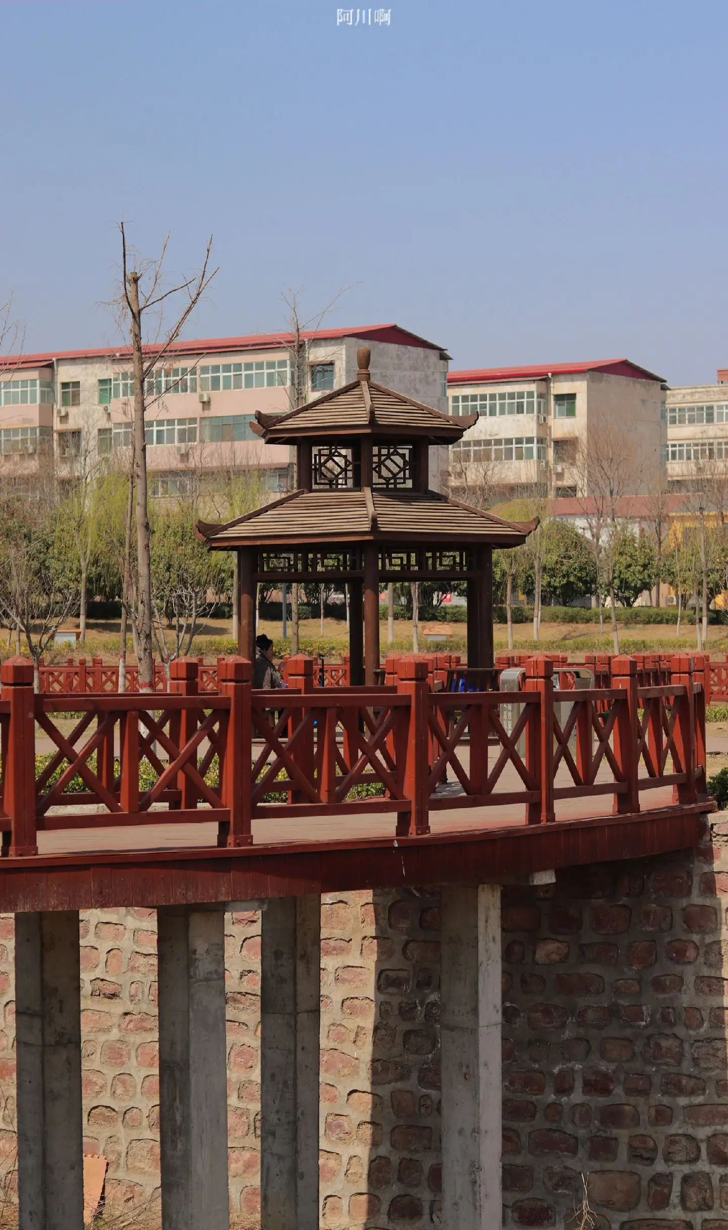 郏城遗址公园旅行图片 2