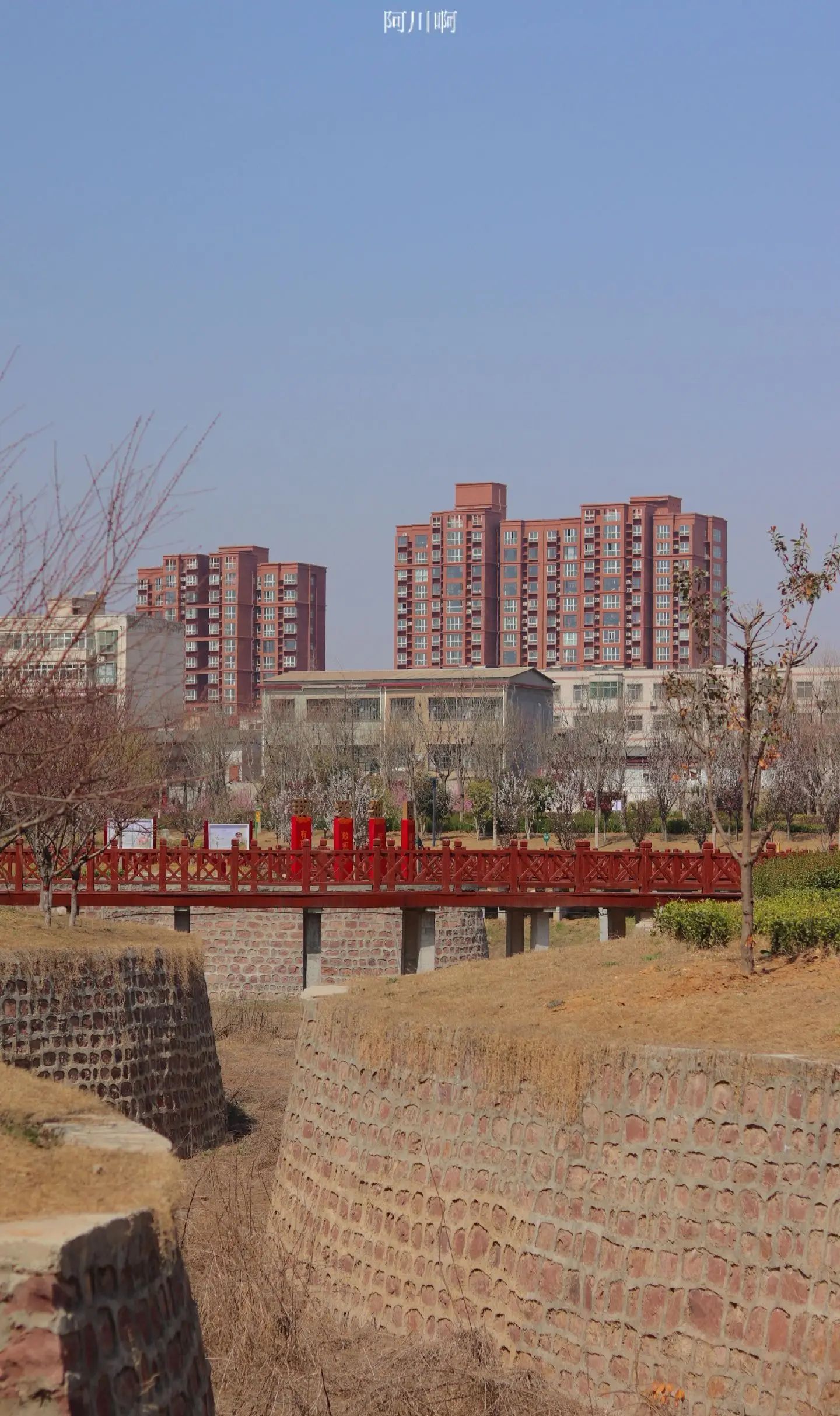 郏城遗址公园旅行图片 3