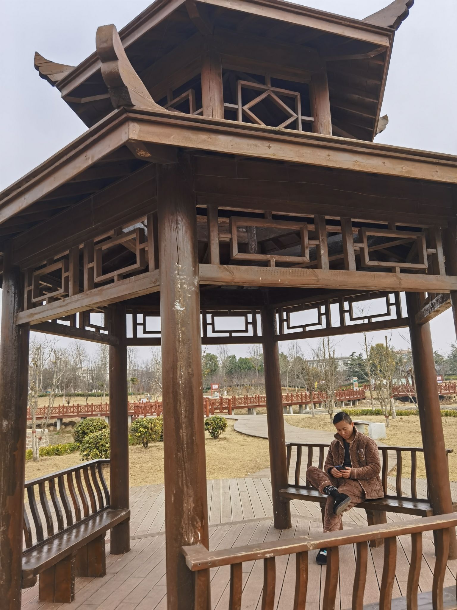 郏城遗址公园旅行图片 3