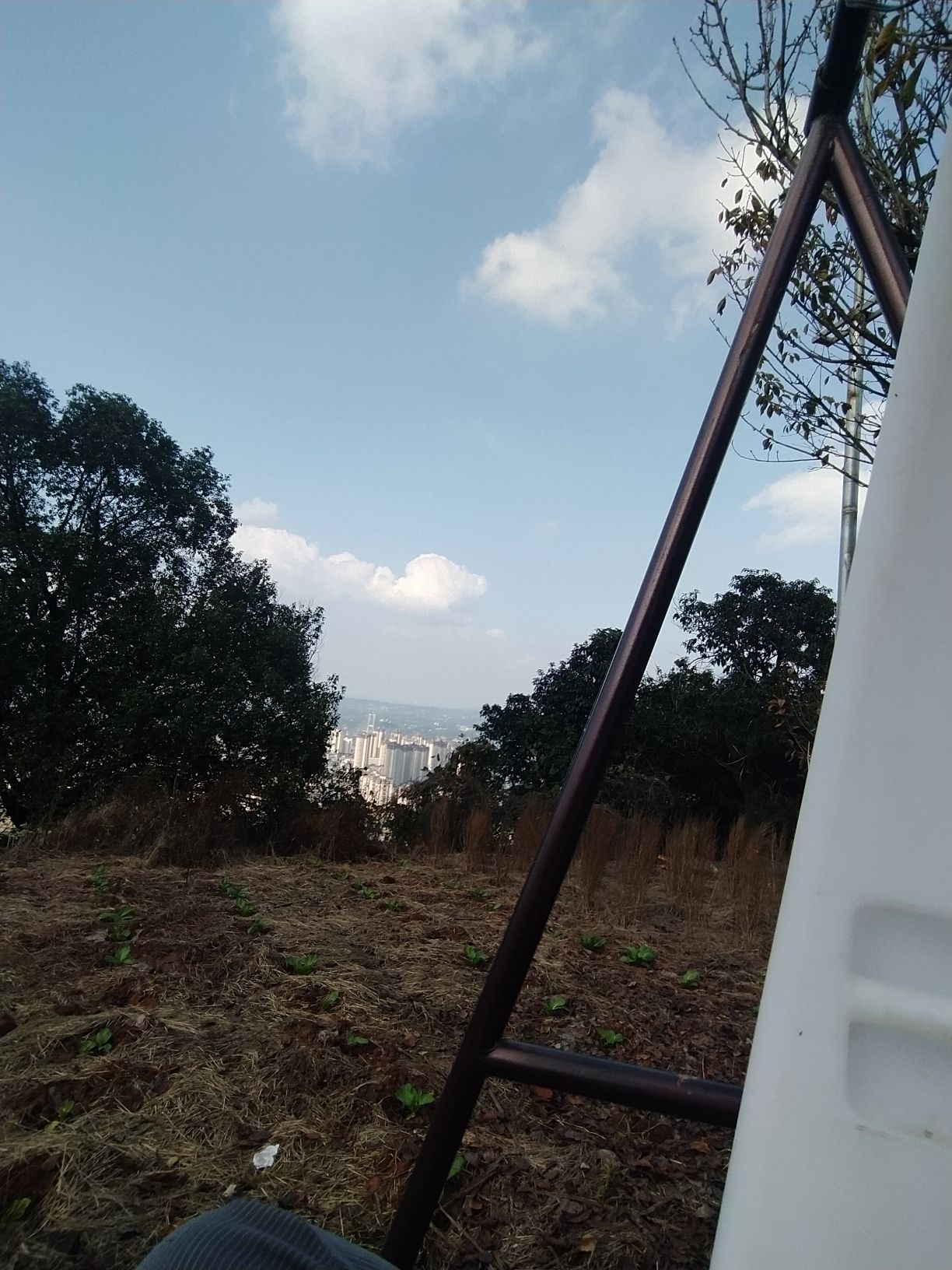 一片花海旅行图片 2