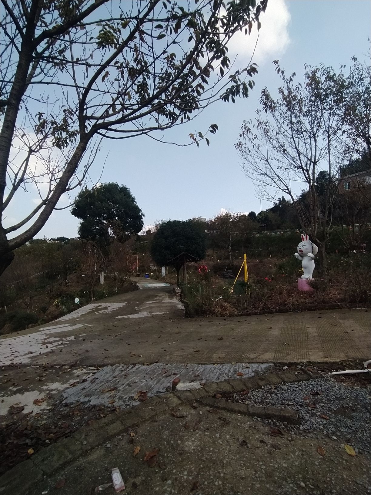 一片花海旅行图片