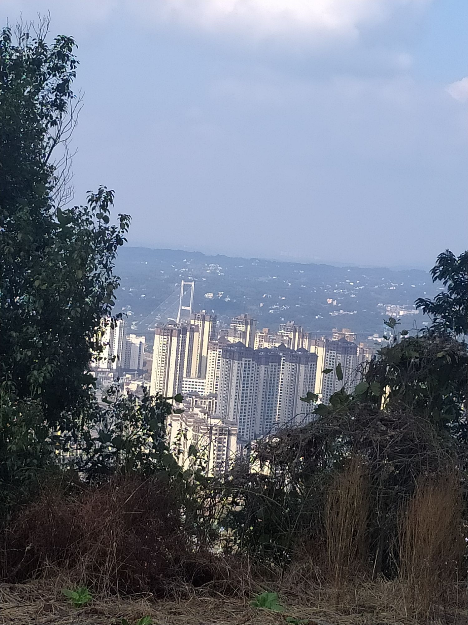 一片花海旅行图片 3