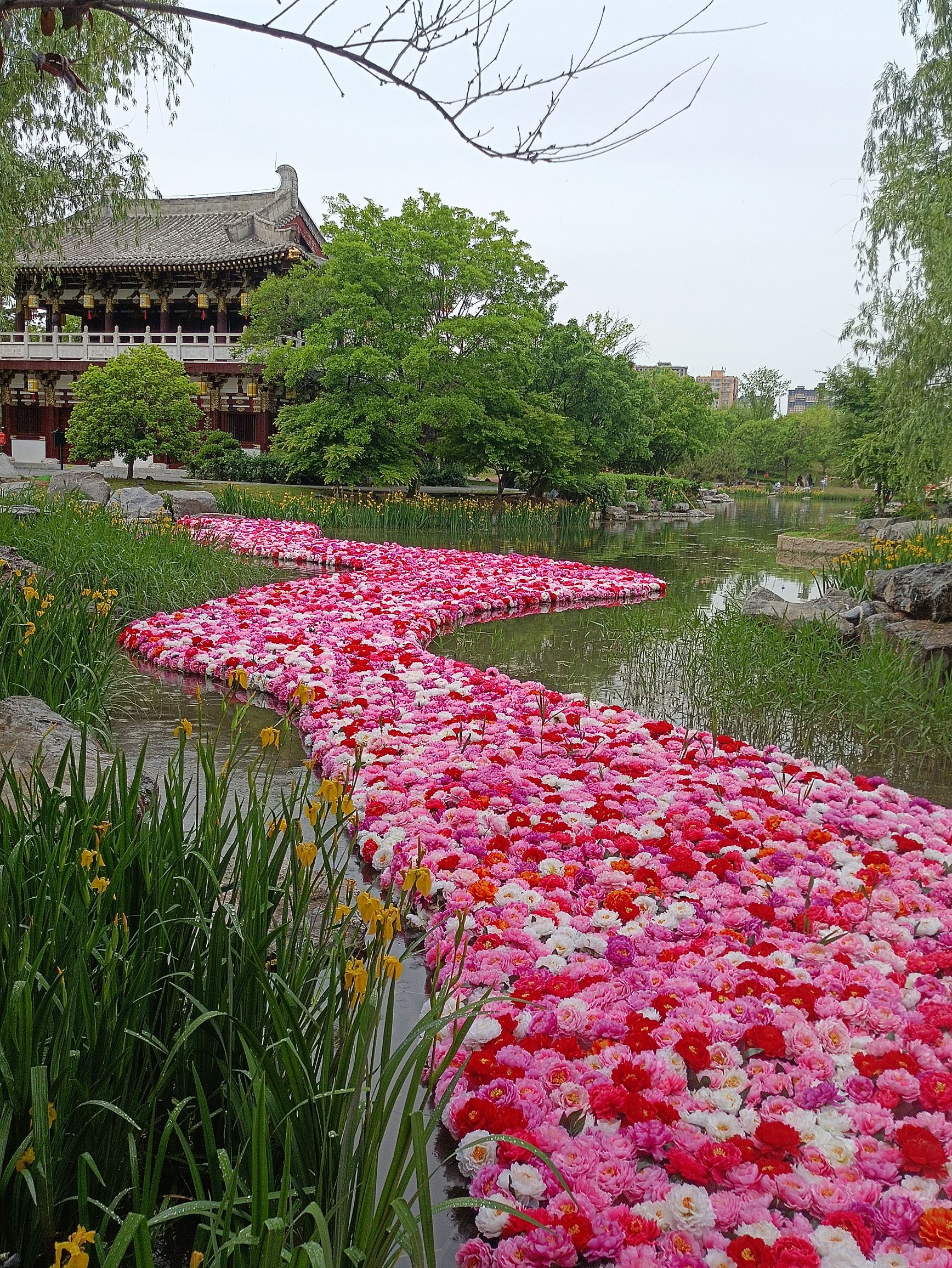 百花园旅行图片 2