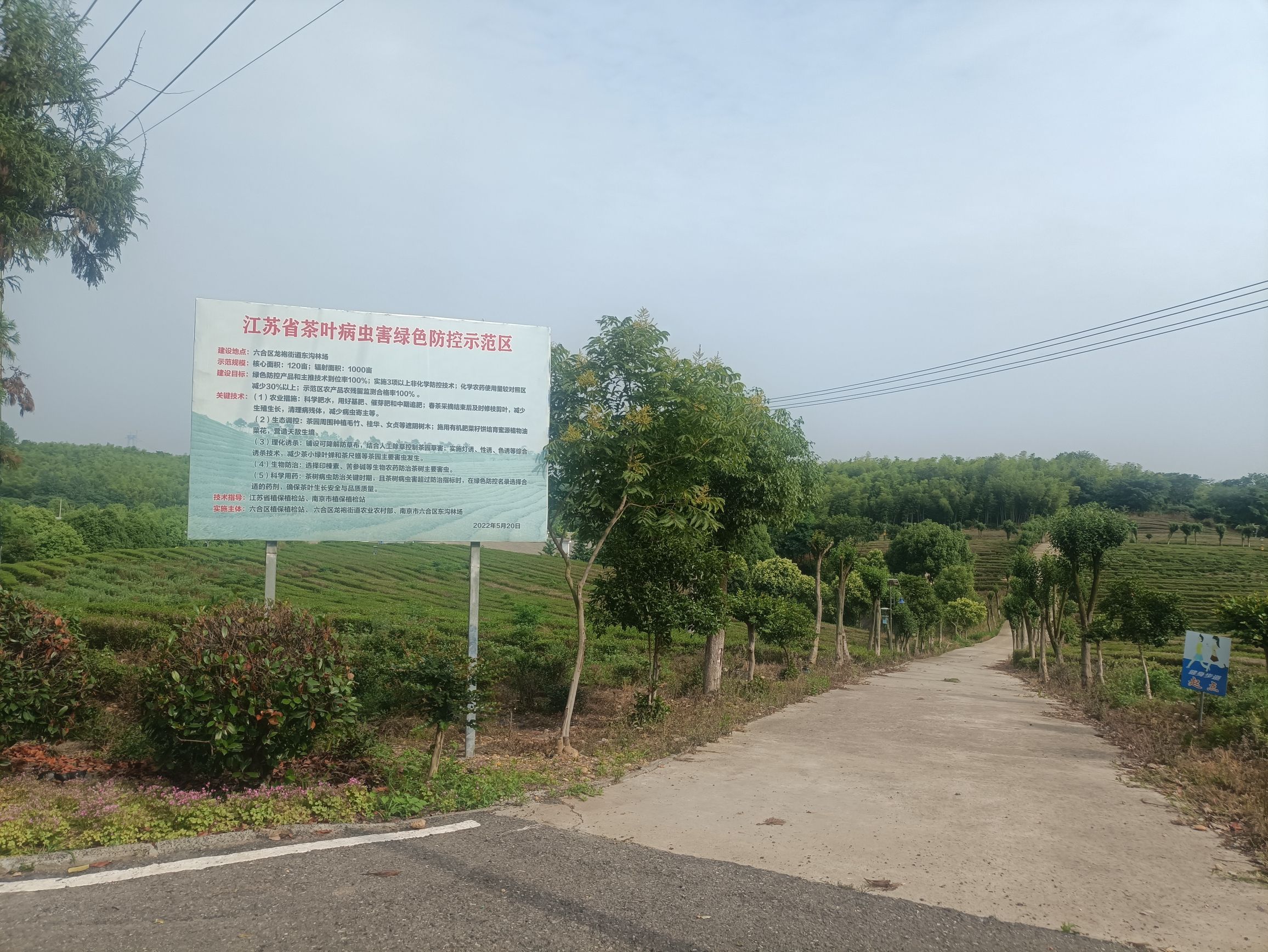 白马山森林公园旅行图片 3