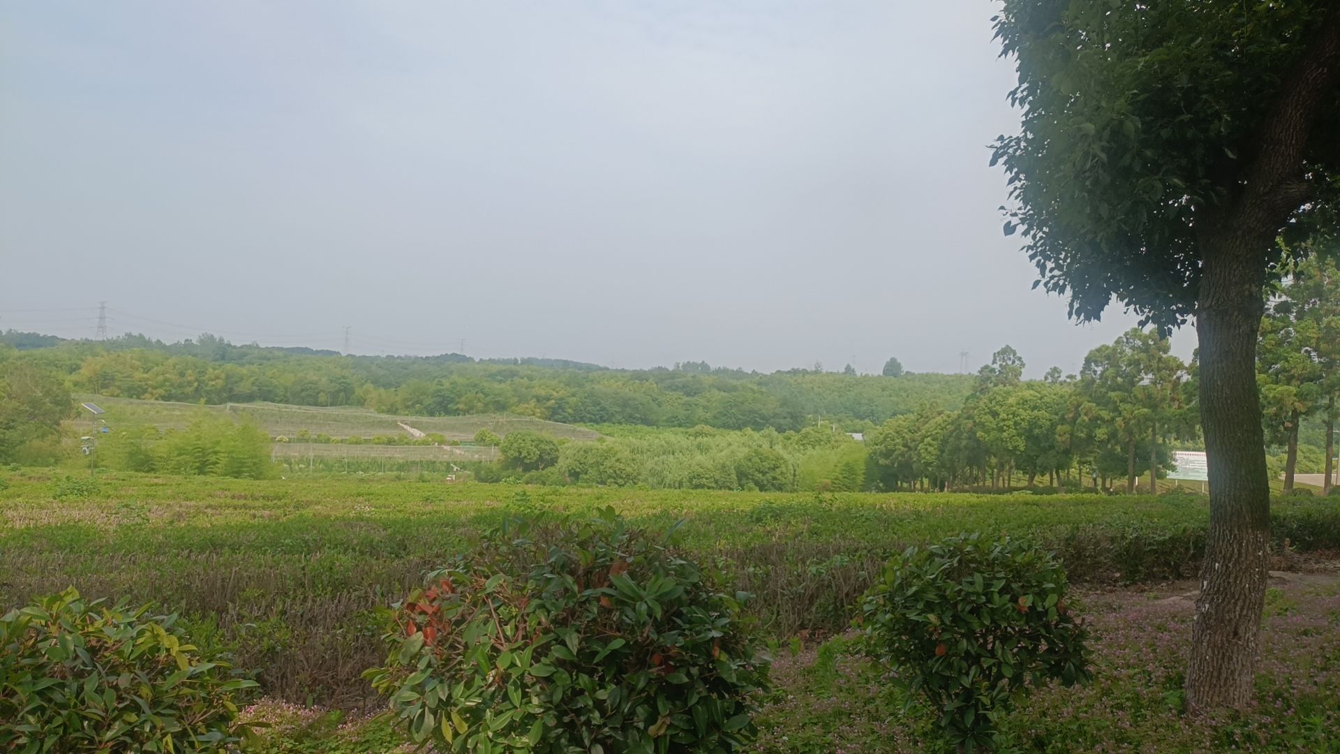 白马山森林公园旅行图片 2