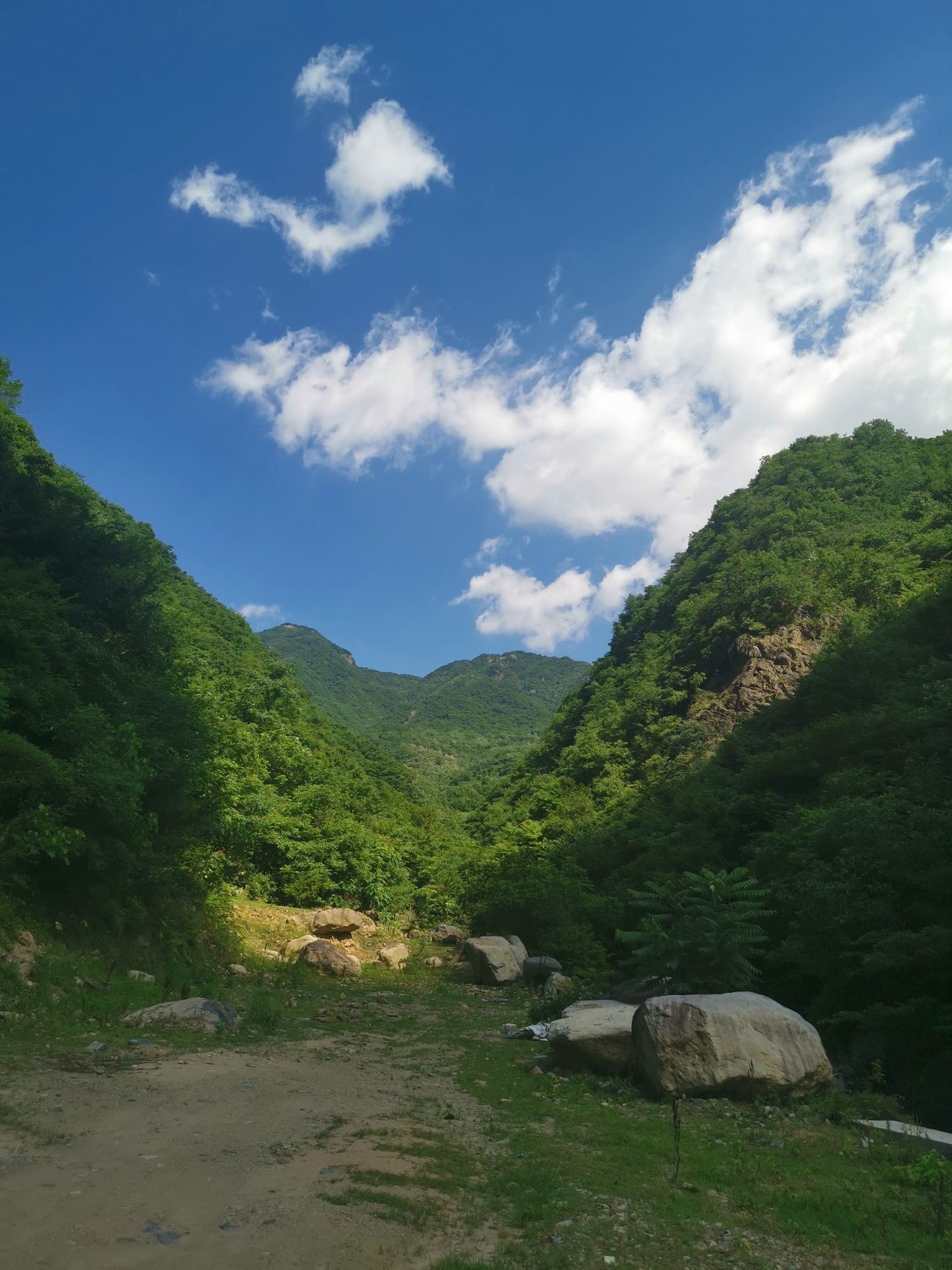 杜鹃岭旅行图片 2