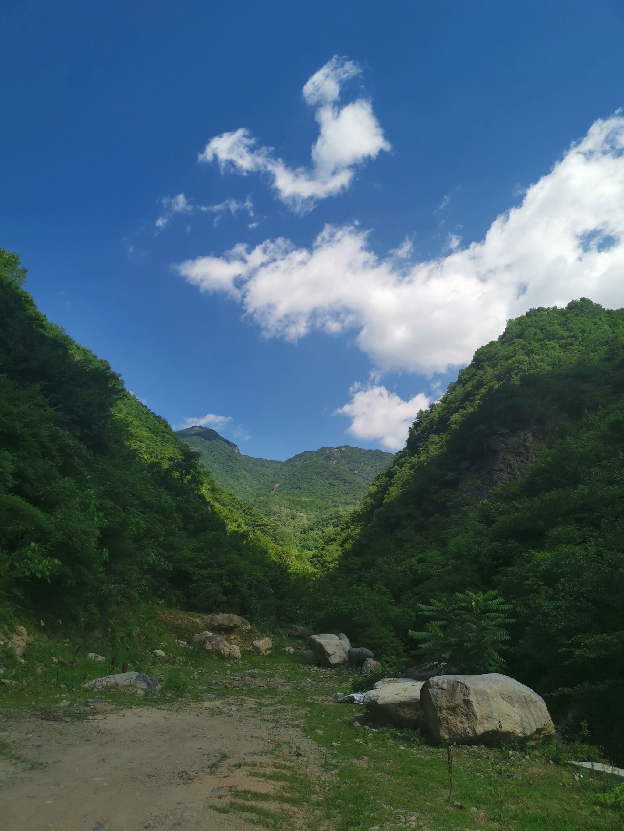 杜鹃岭旅行图片 1
