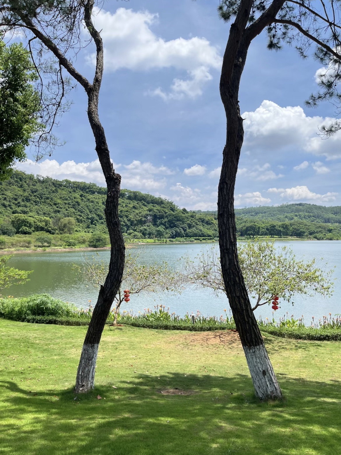拾贝湖旅行图片 2