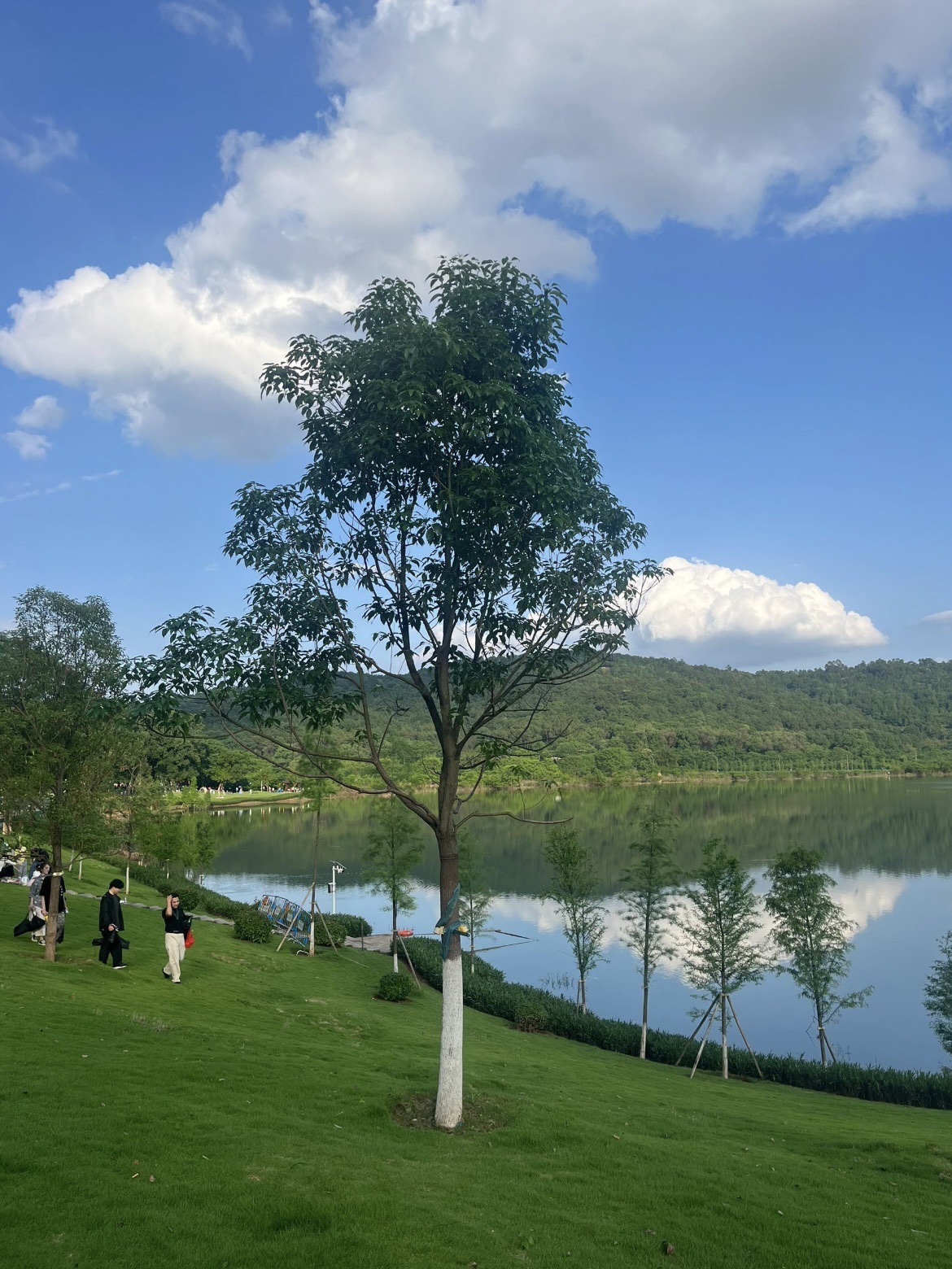 拾贝湖旅行图片 3