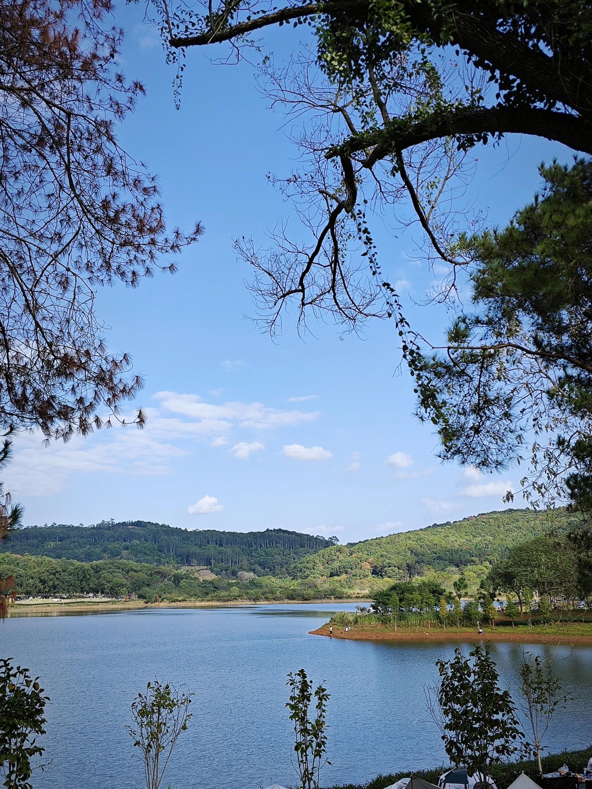 拾贝湖旅行图片 2