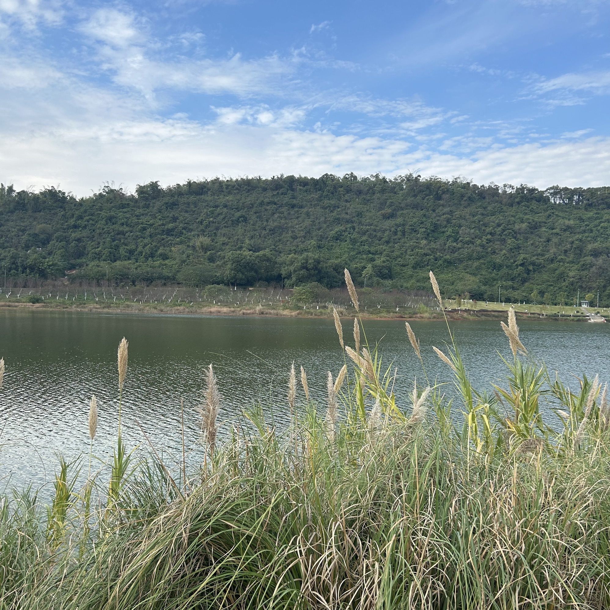 拾贝湖旅行图片 3