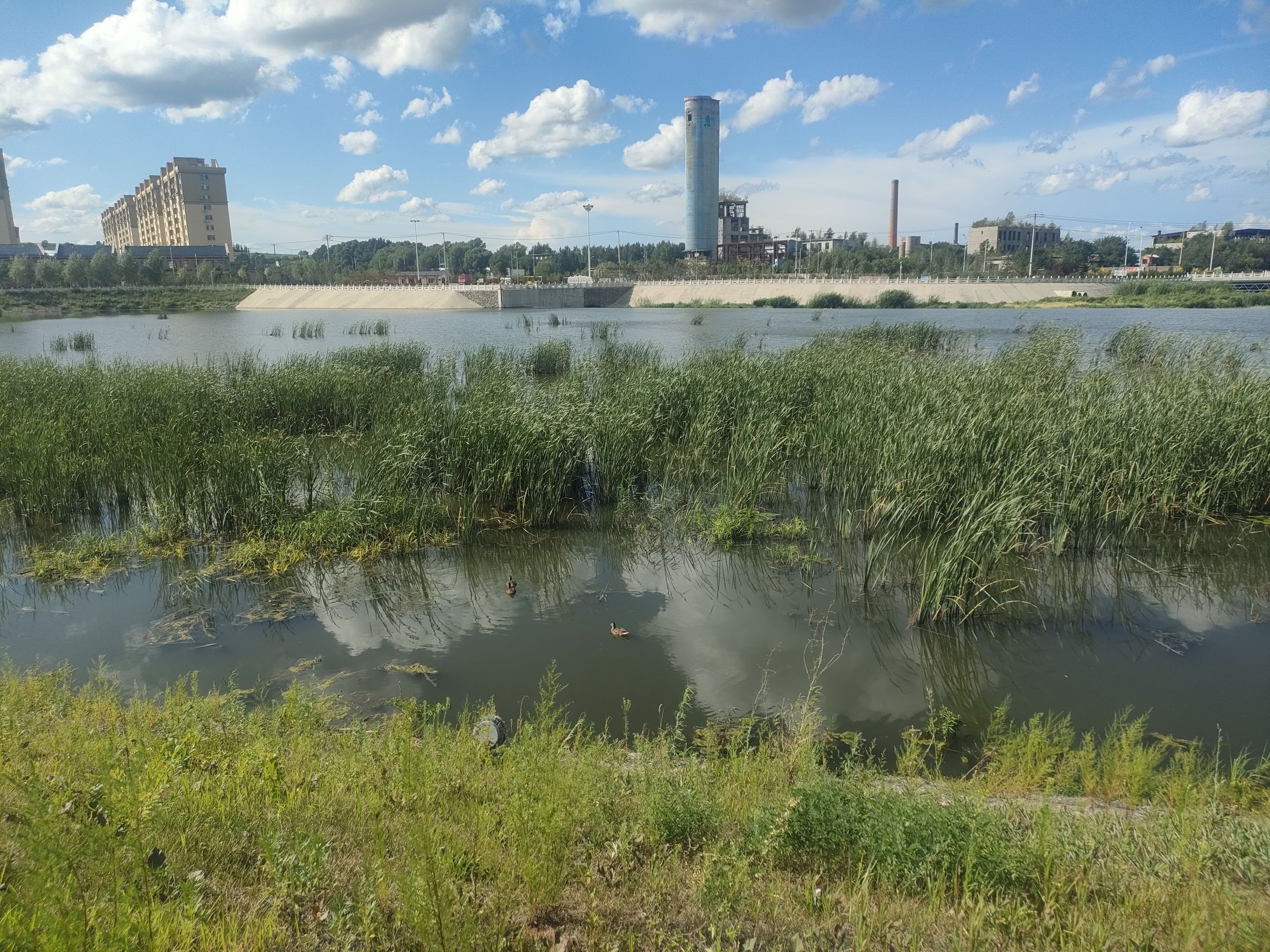 碾子河湿地公园