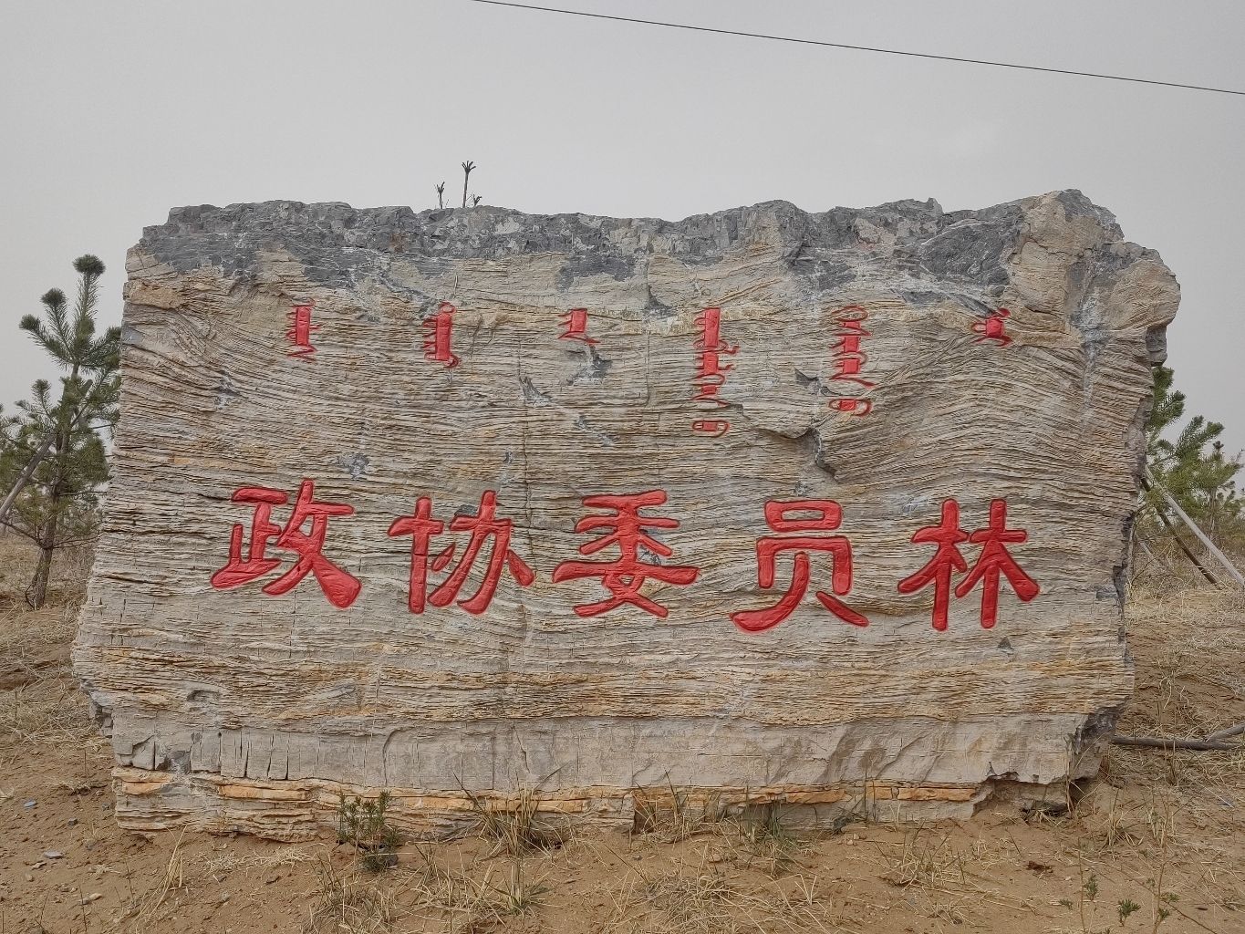 政协委员林