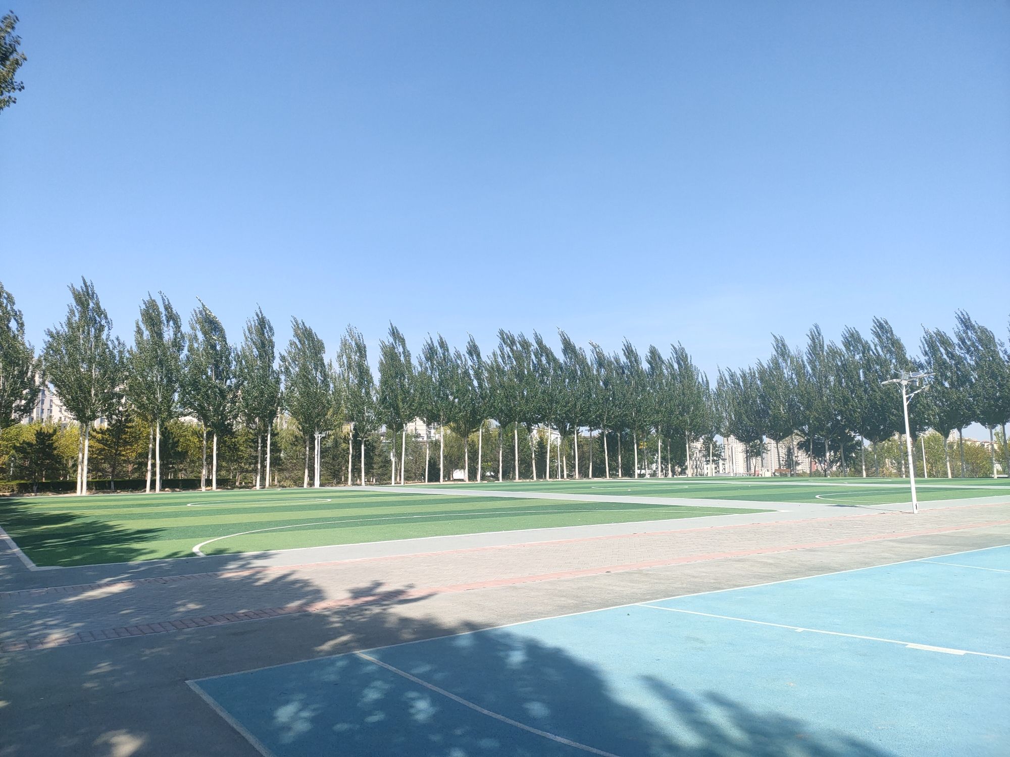 牧歌公园旅行图片 2