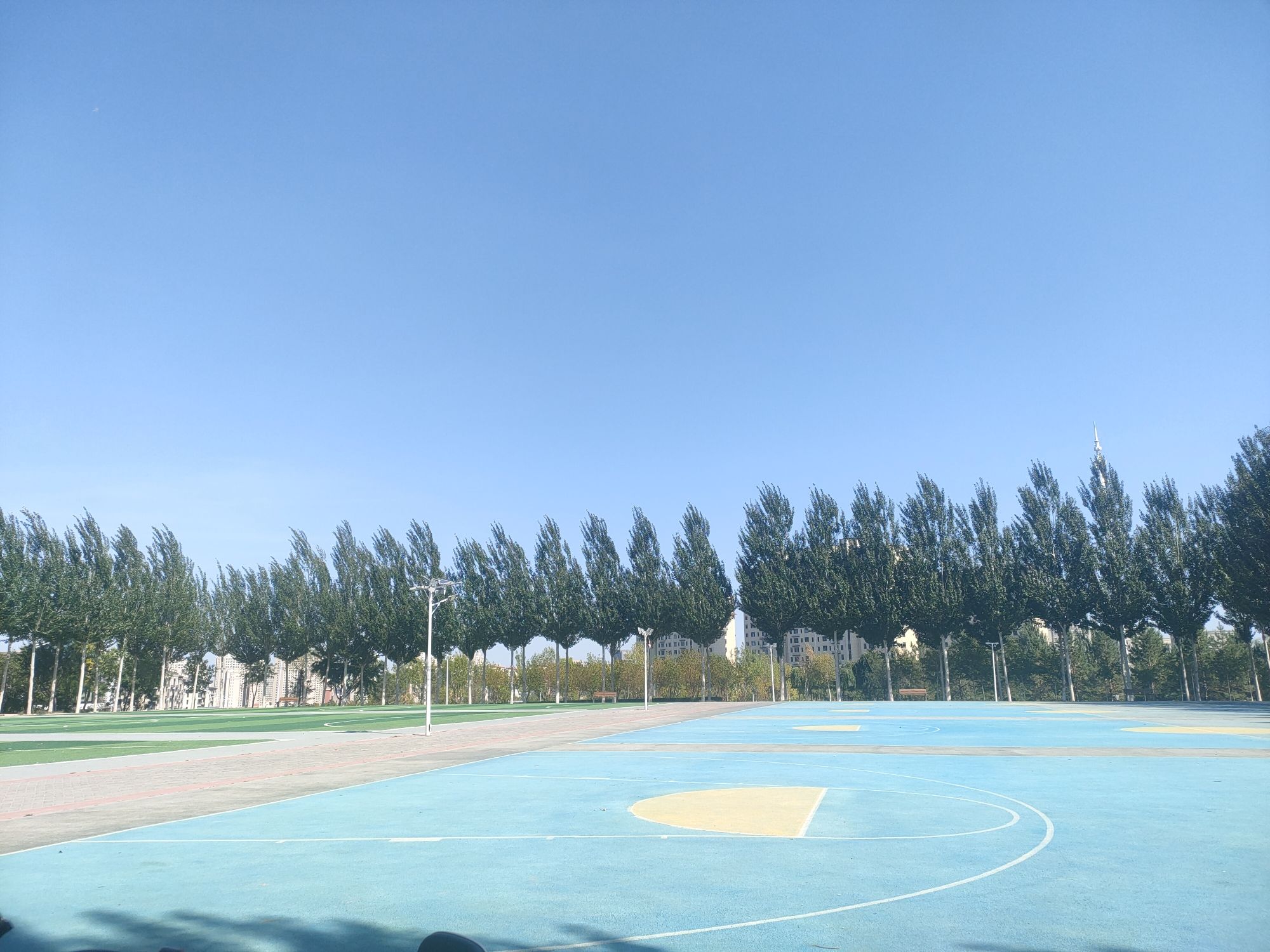 牧歌公园旅行图片 1