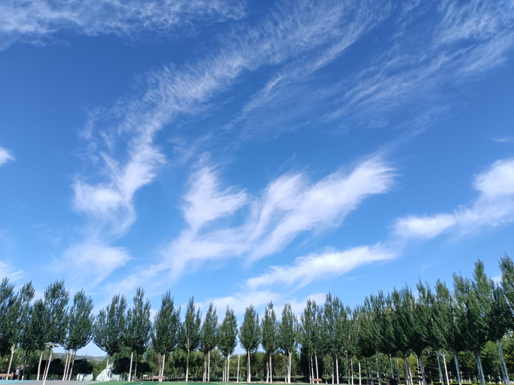 牧歌公园旅行图片 2