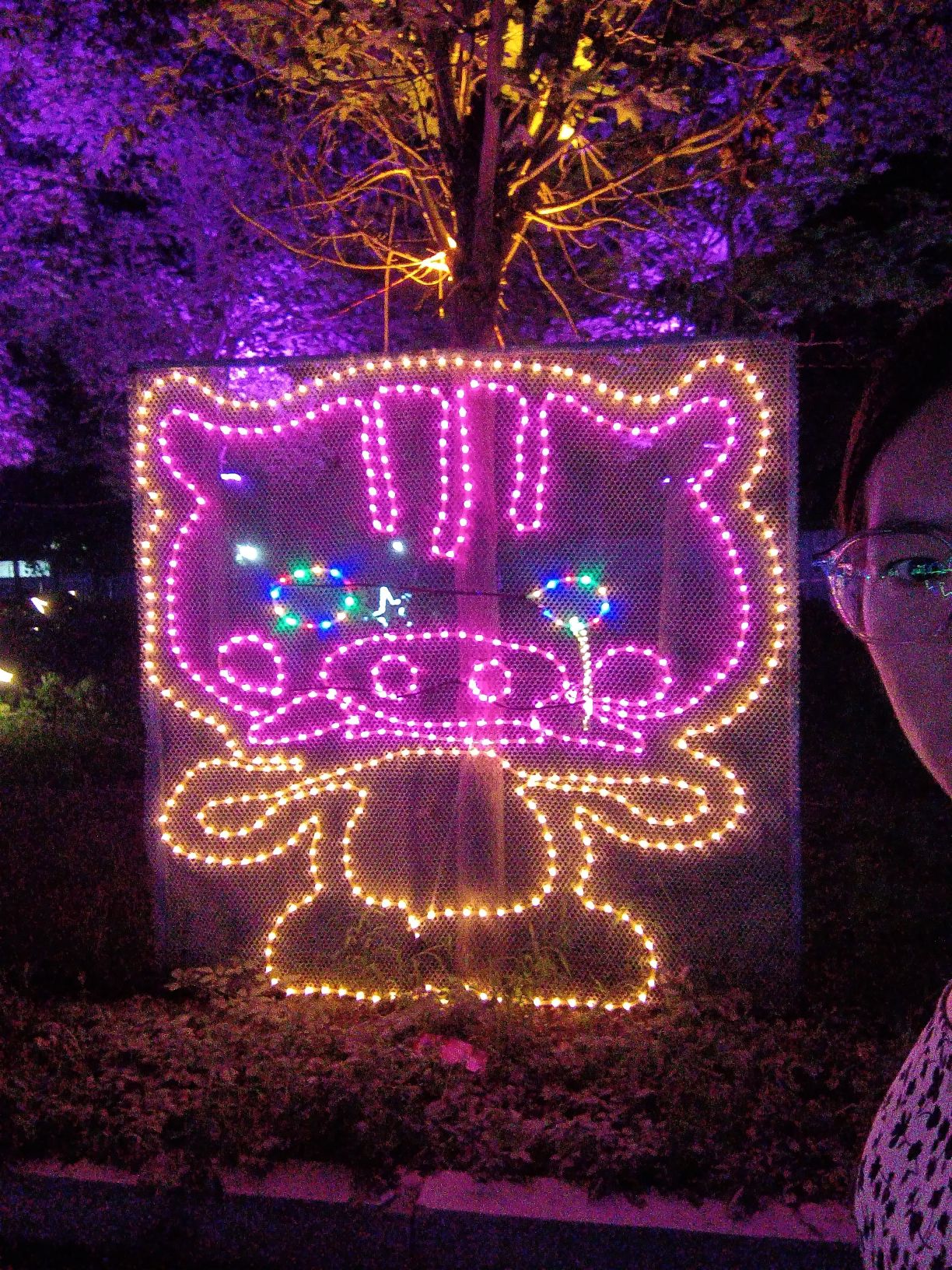 逛吃公园旅行图片 1