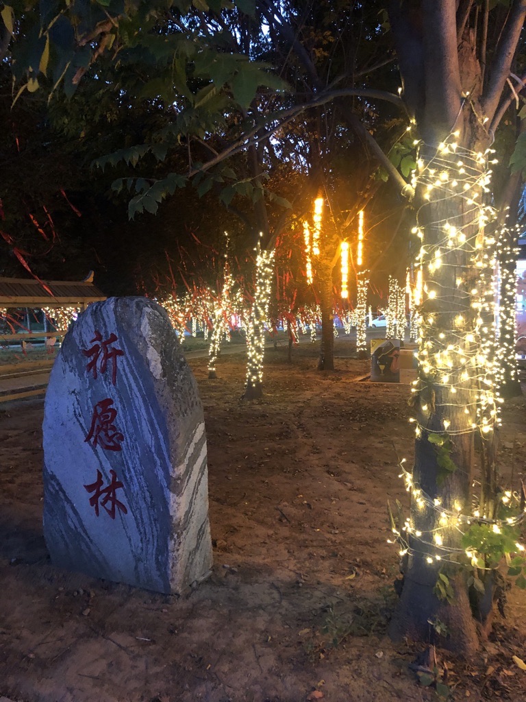 逛吃公园旅行图片 3