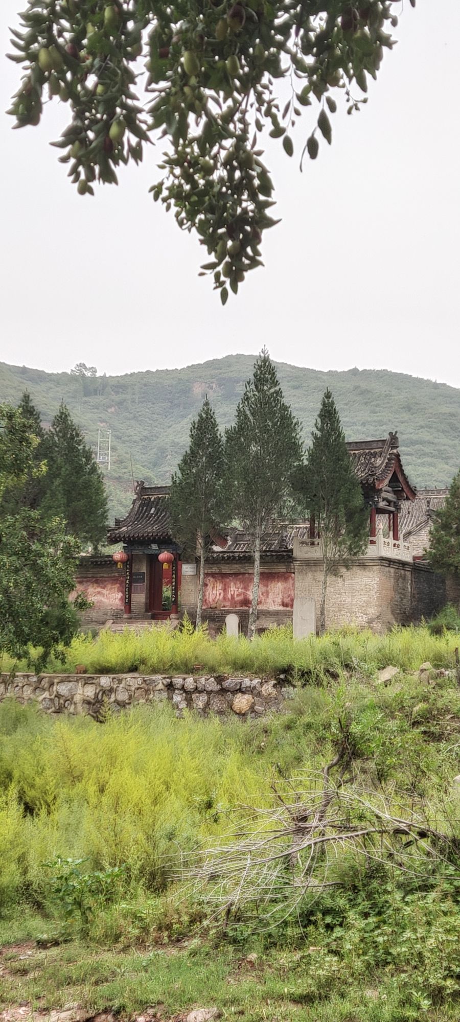 塔上村观音禅院旅行图片 1