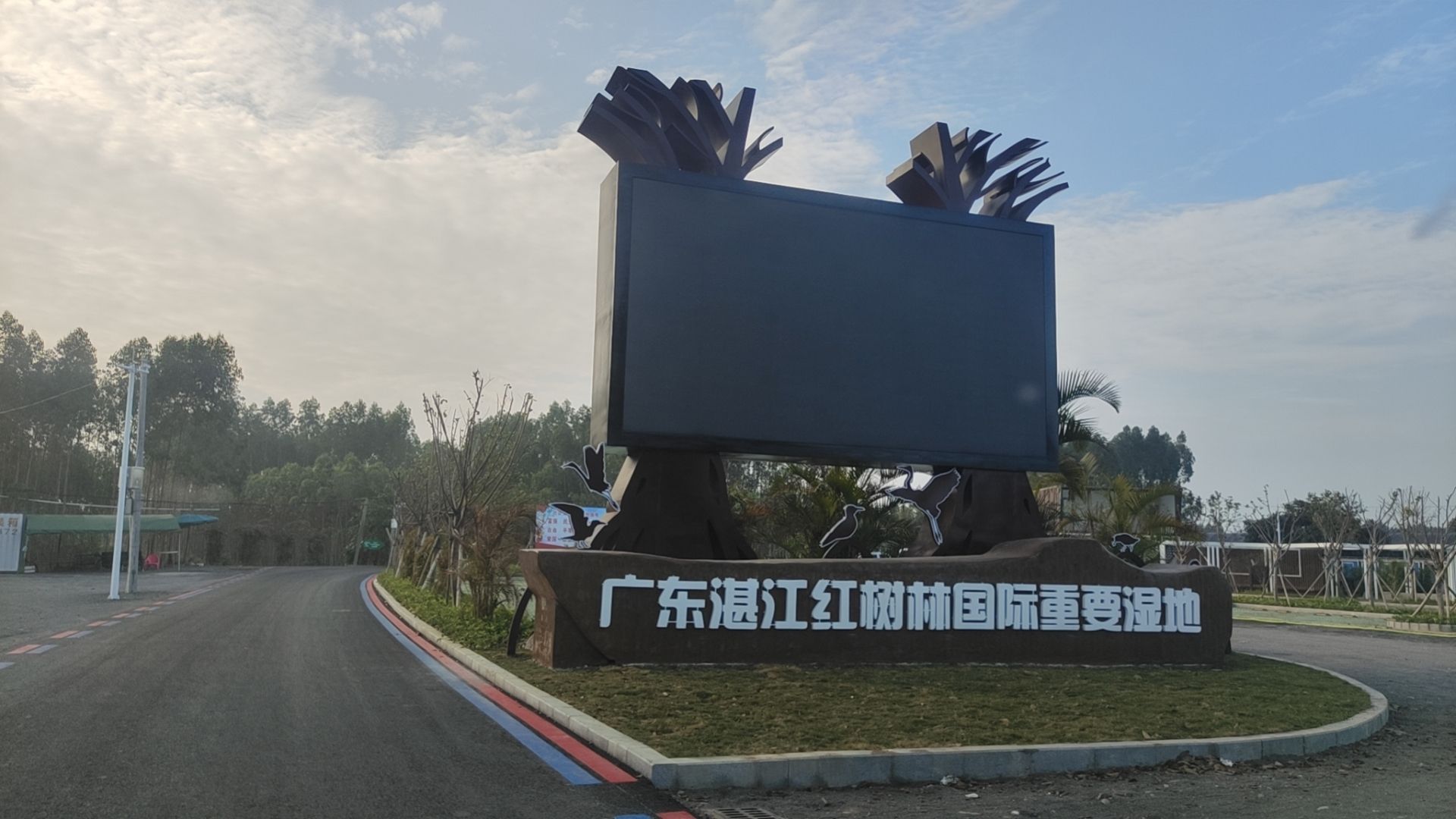 金牛岛红树林旅行图片 3
