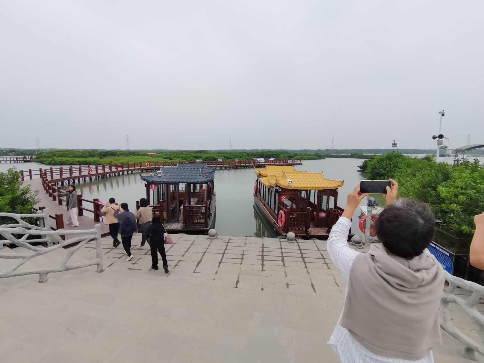 金牛岛红树林旅行图片 1