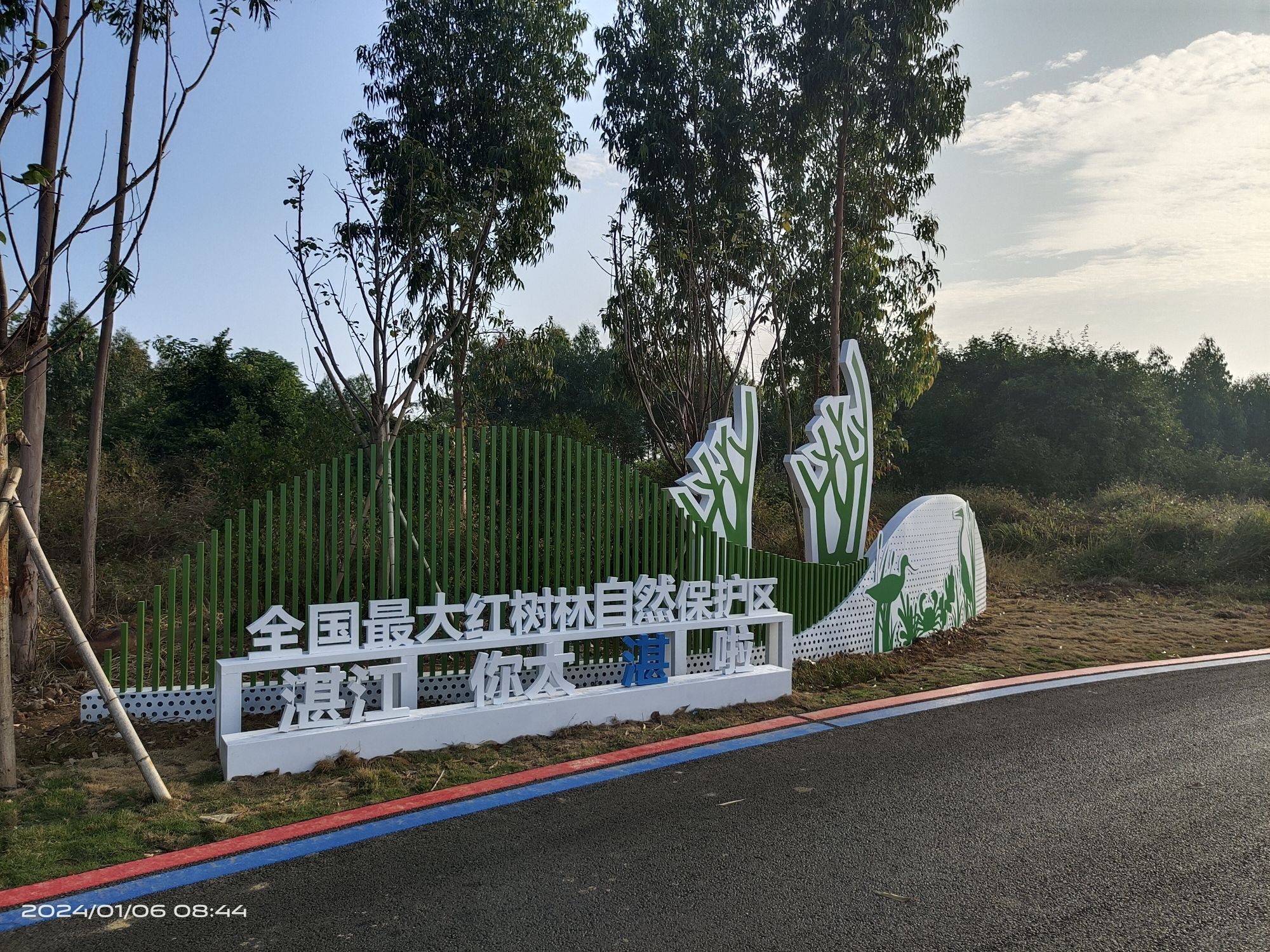 金牛岛红树林旅行图片 1