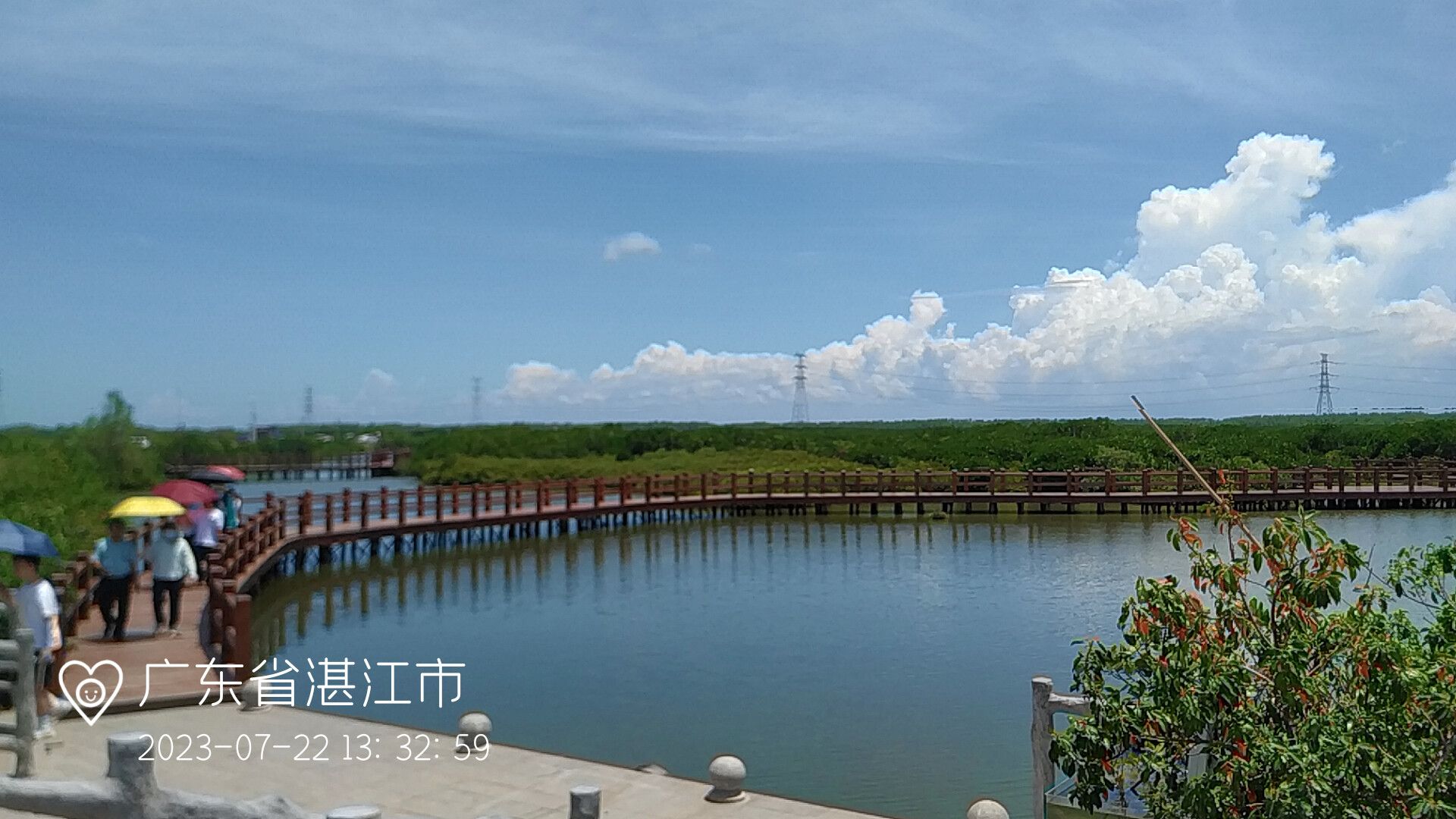 金牛岛红树林旅行图片 1