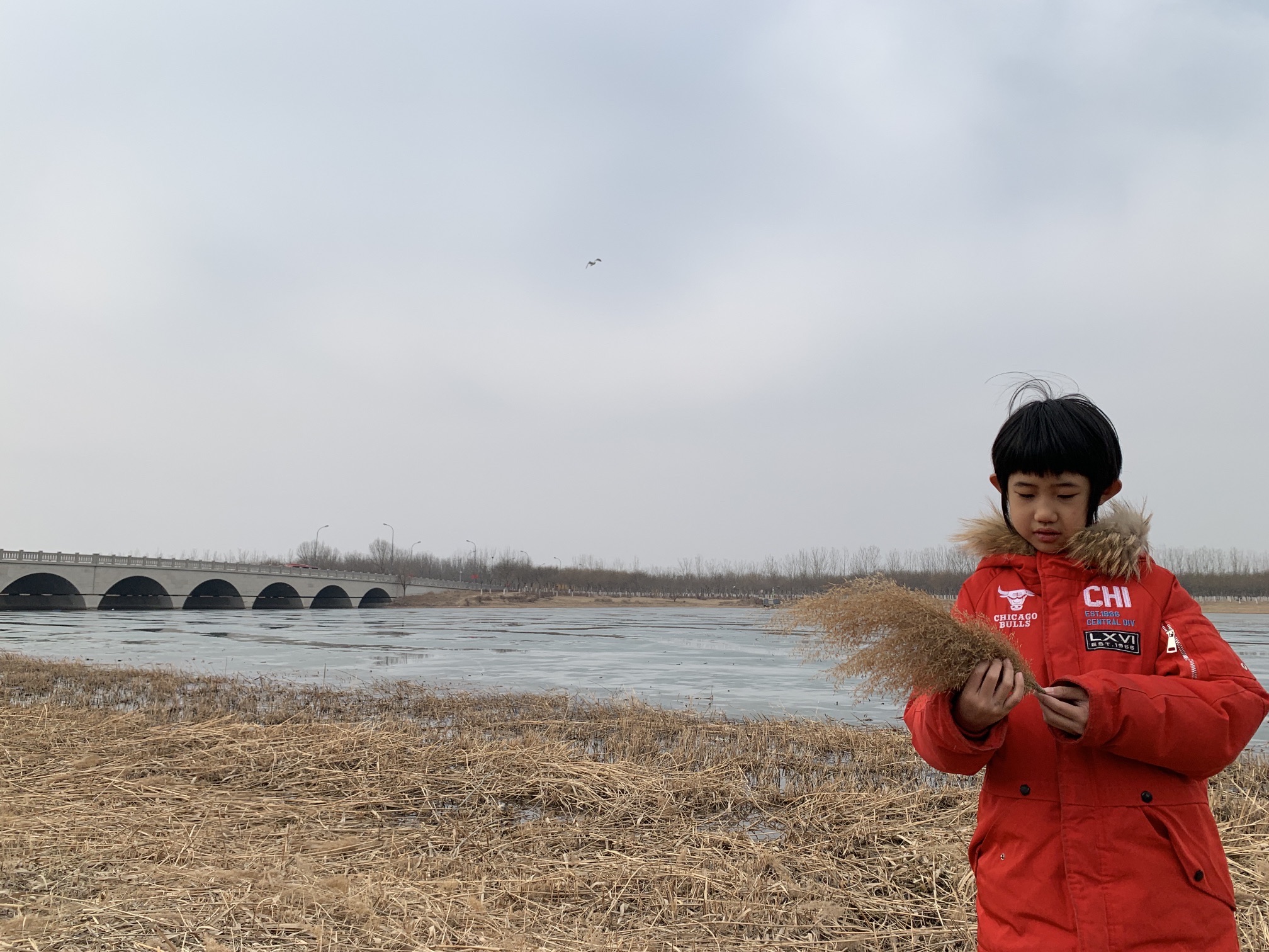 海河教育园区湿地公园旅行图片 3