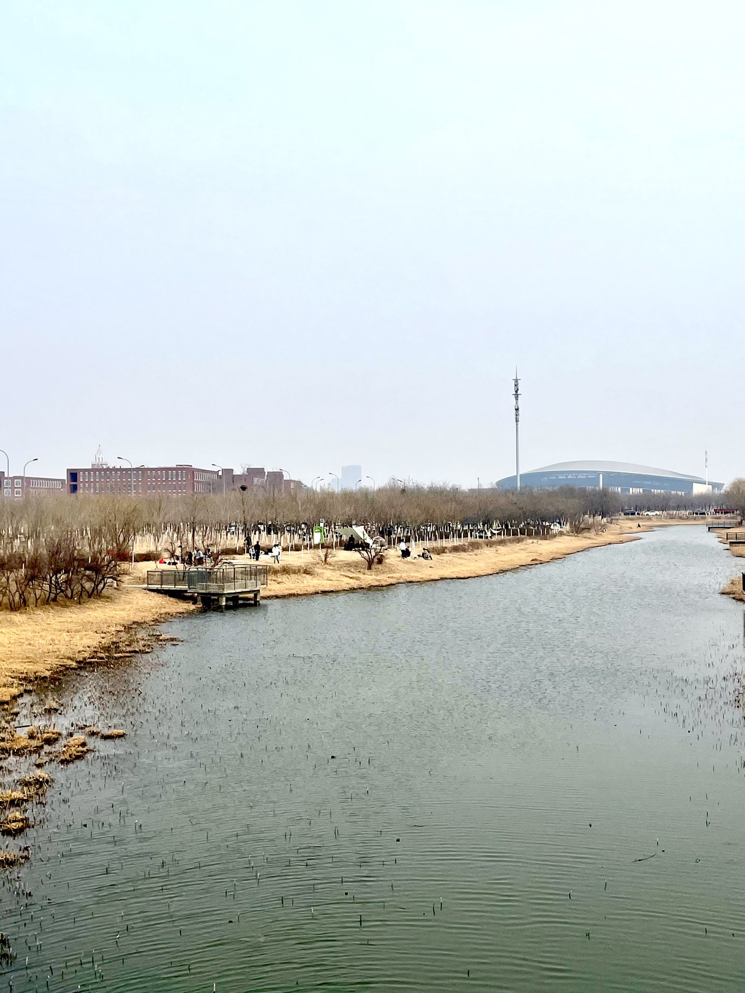 海河教育园区湿地公园旅行图片 1