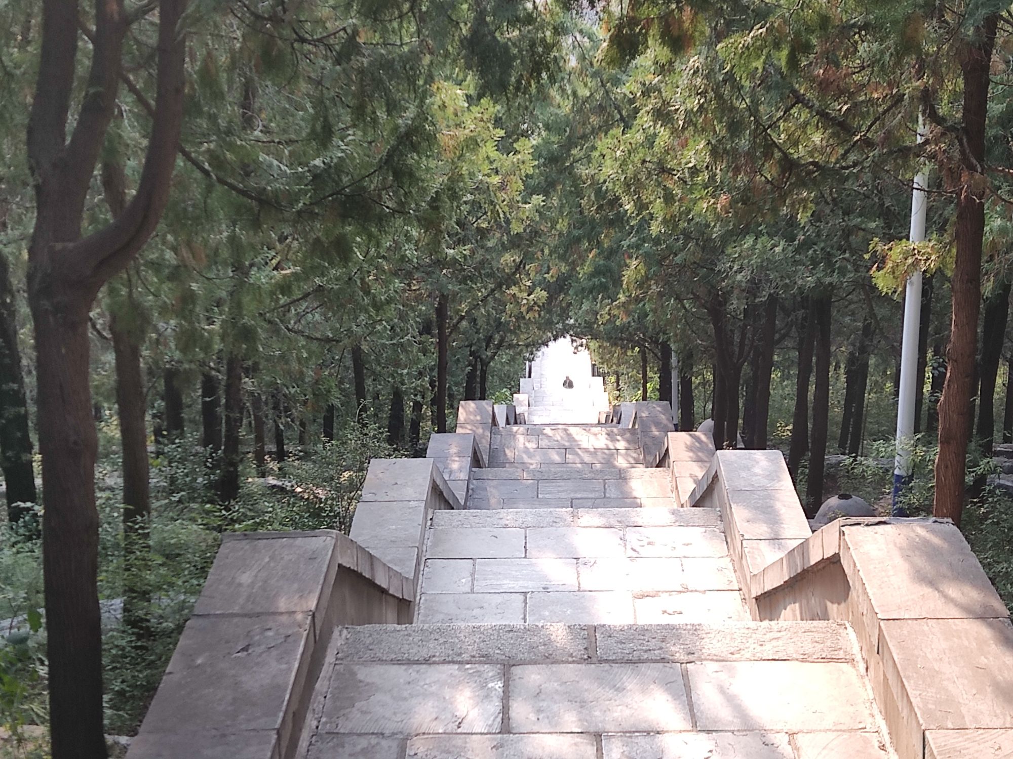 小龟山山体公园旅行图片 1