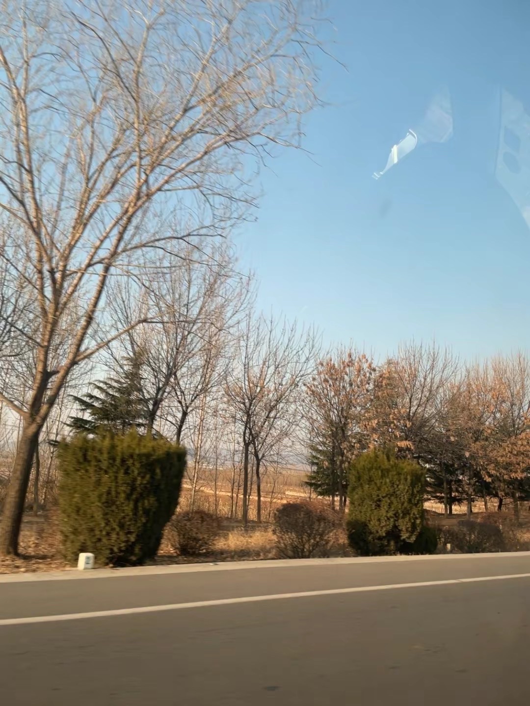 肥城市黑牛山庄旅游度假区旅行图片 3