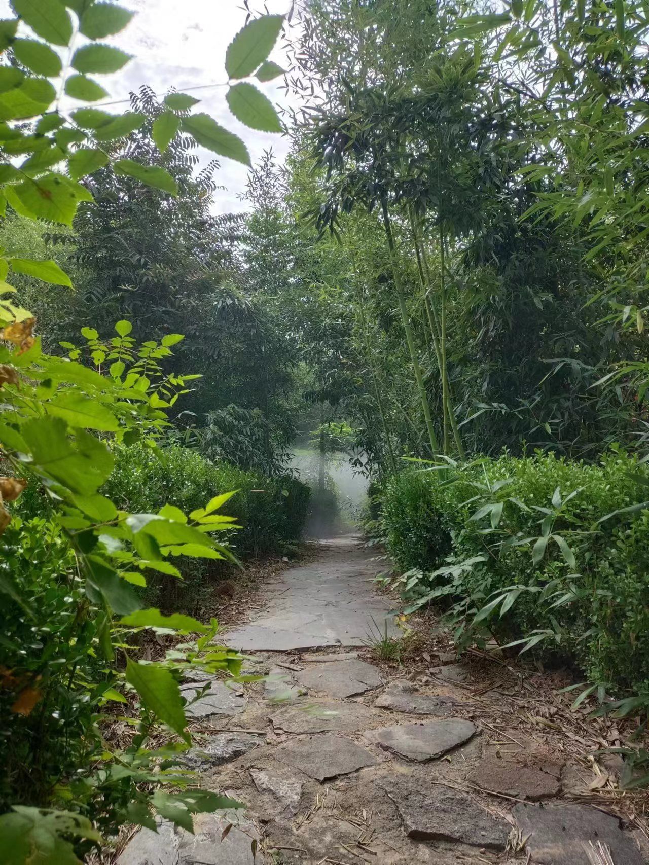 肥城市黑牛山庄旅游度假区旅行图片 1
