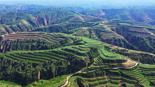 永和北方梯田农耕景区旅行图片 3