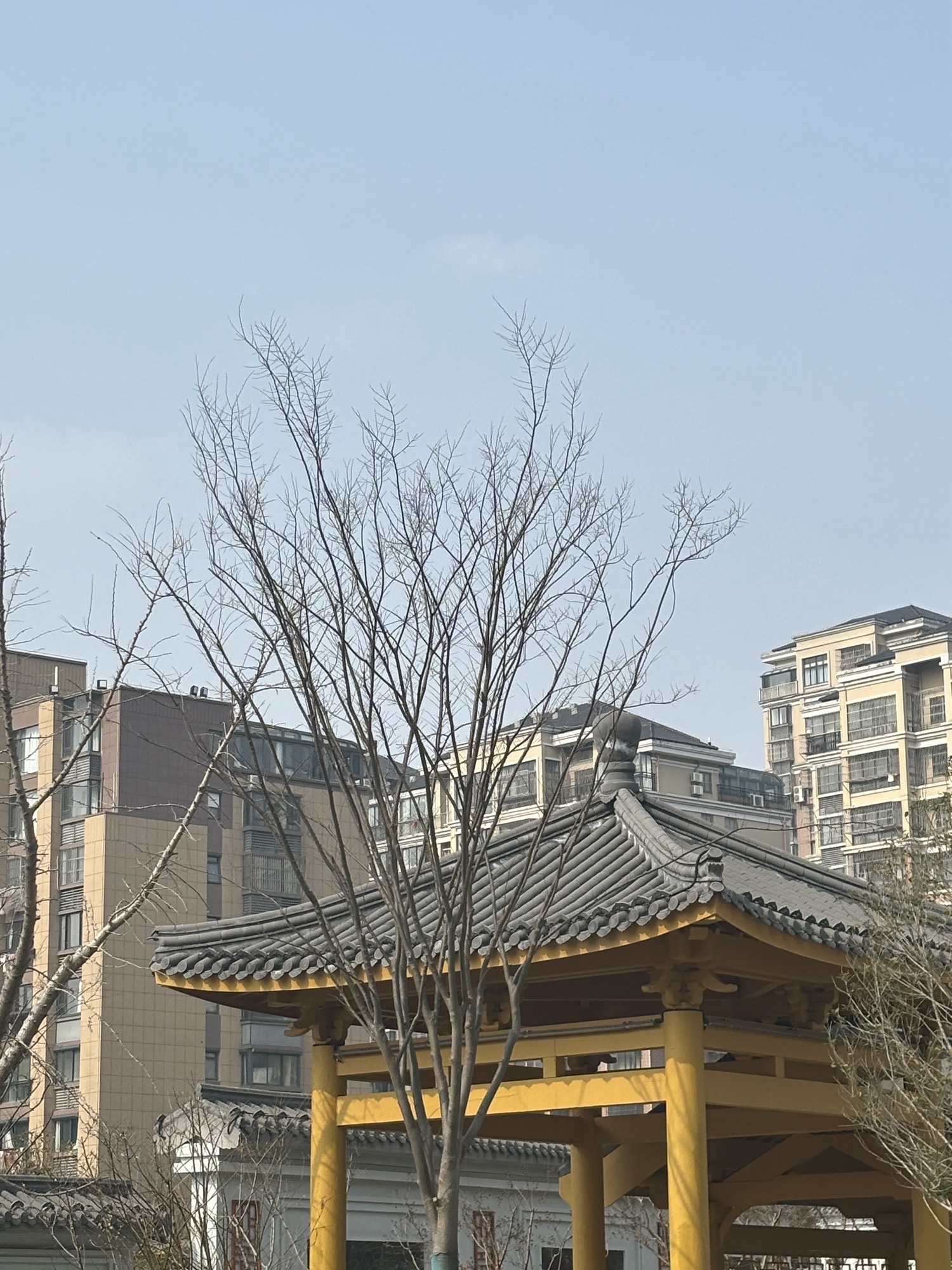 掘港国清寺遗址公园旅行图片 2