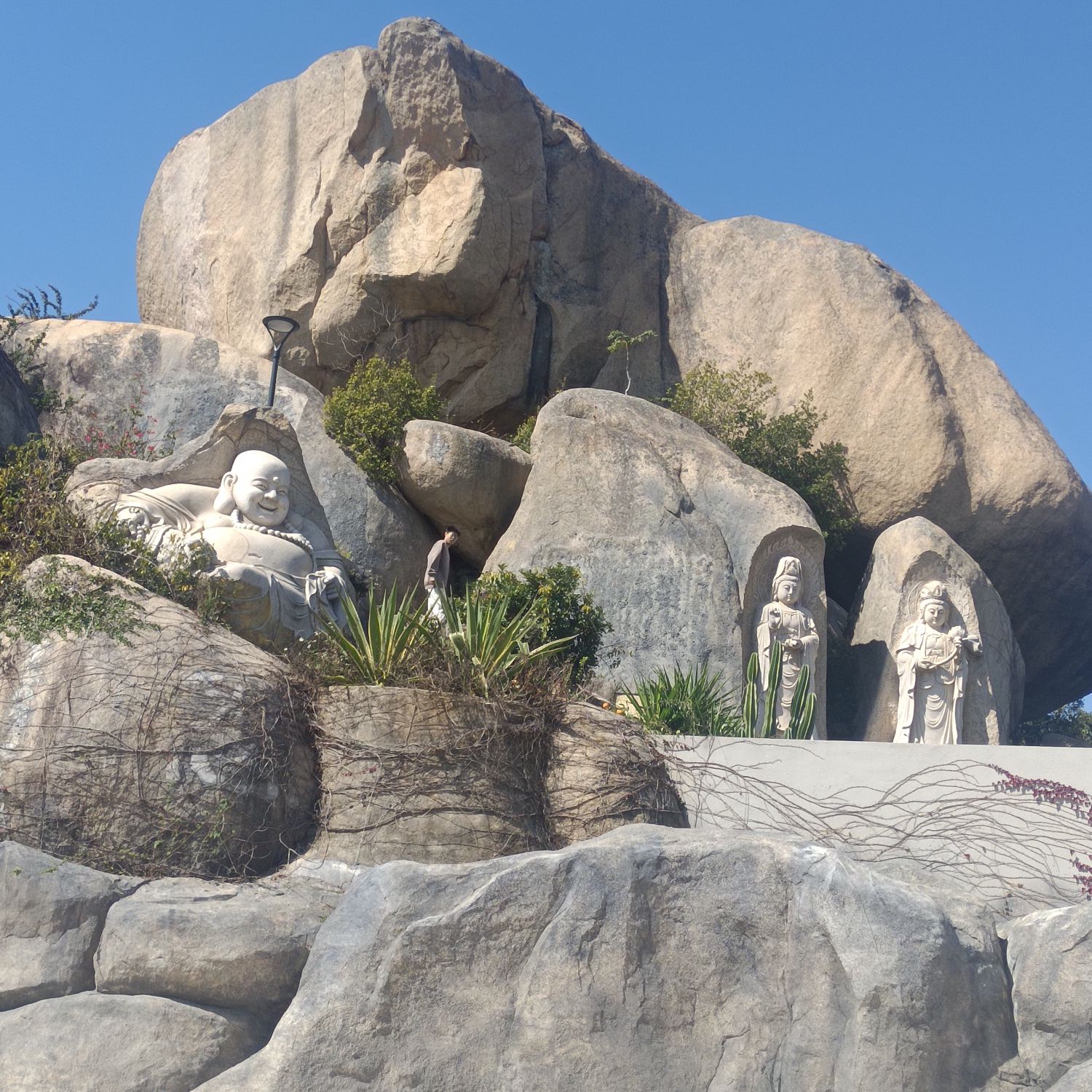 厦门山海健康步道B线旅行图片 3