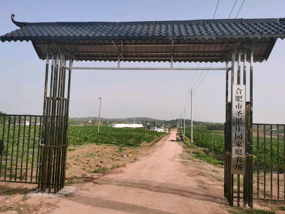 合肥市圣果庄园家庭农场
