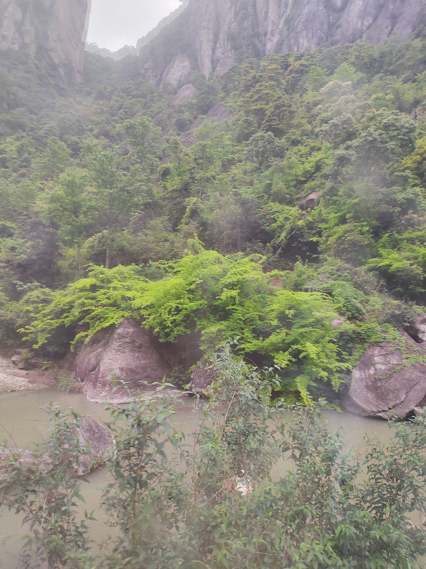 雁荡山五指峰风景区旅行图片 3