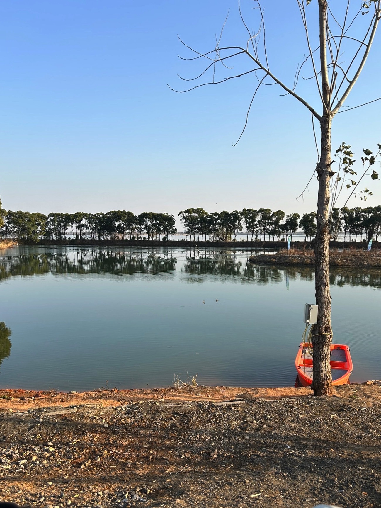 望湖路亚营地