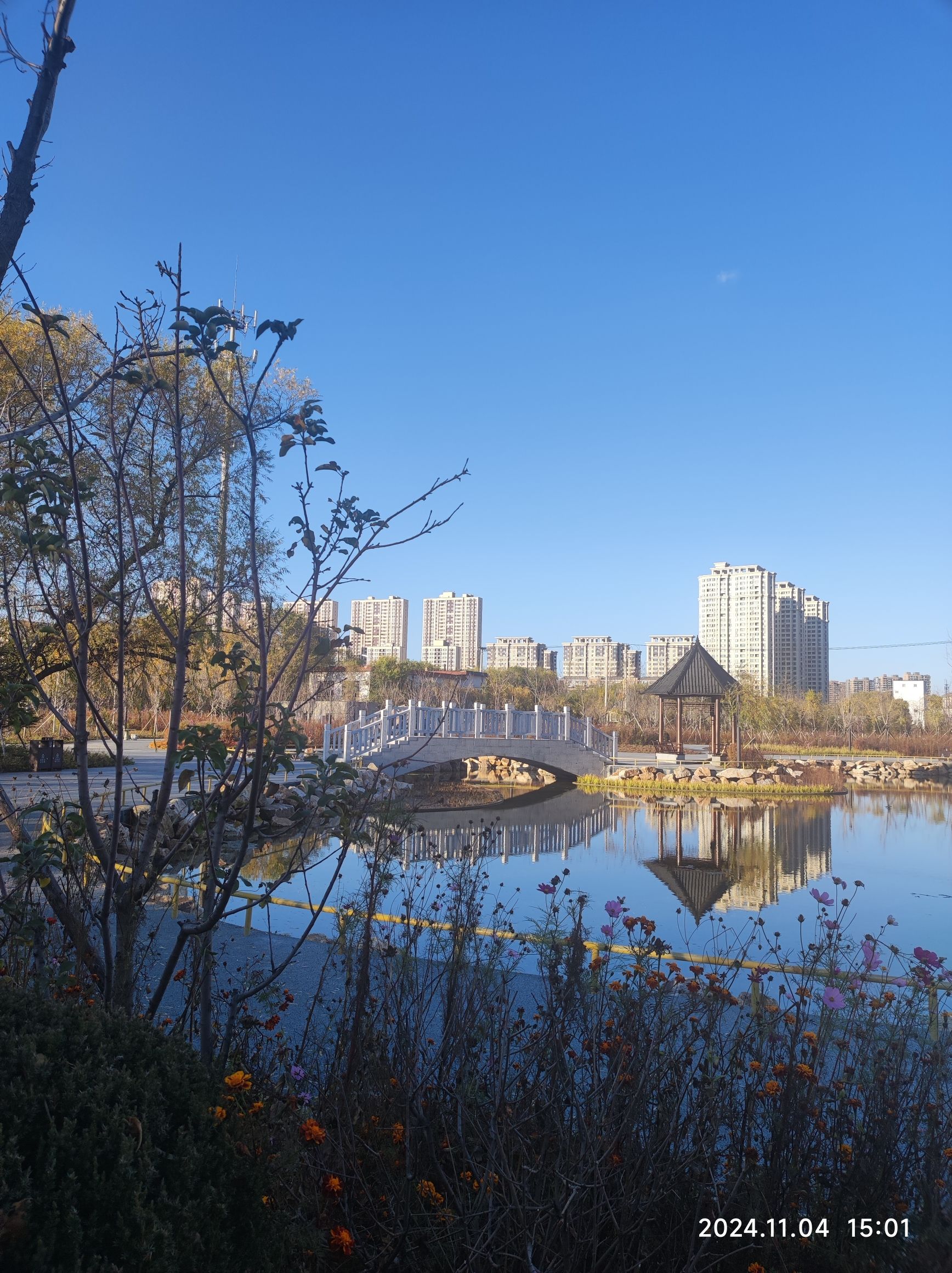 塔北城市公园旅行图片 1