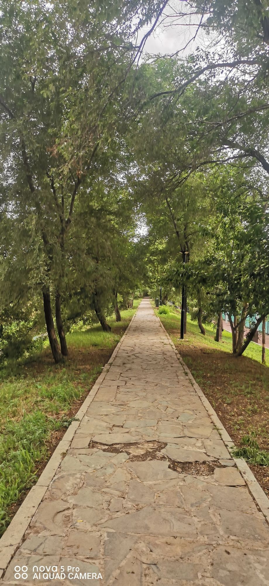 塔北城市公园旅行图片 3