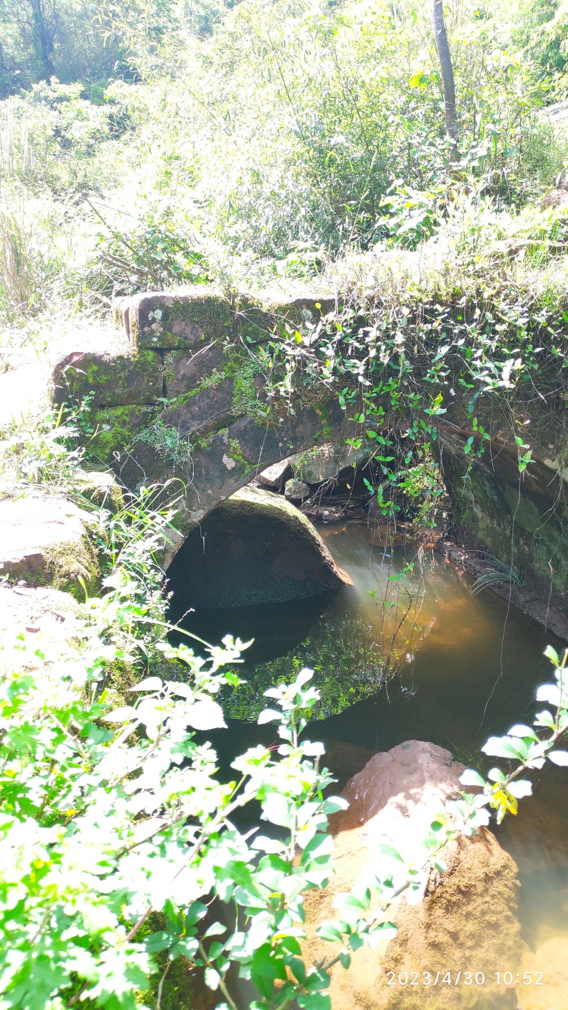 铜鼓庵(庆云寺)旅行图片 1