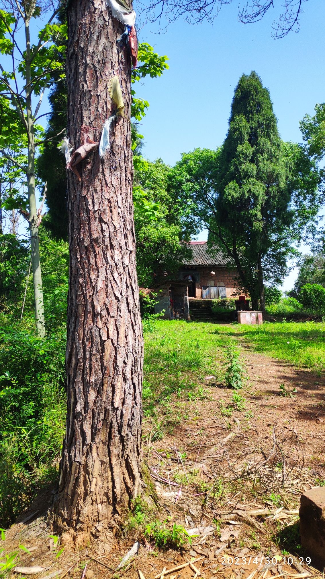 铜鼓庵(庆云寺)旅行图片 2