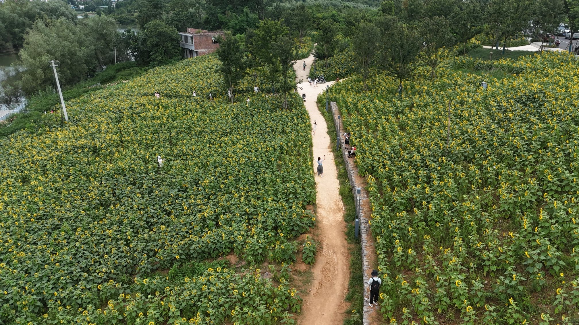 中铁云湾湾有引力公园旅行图片 3
